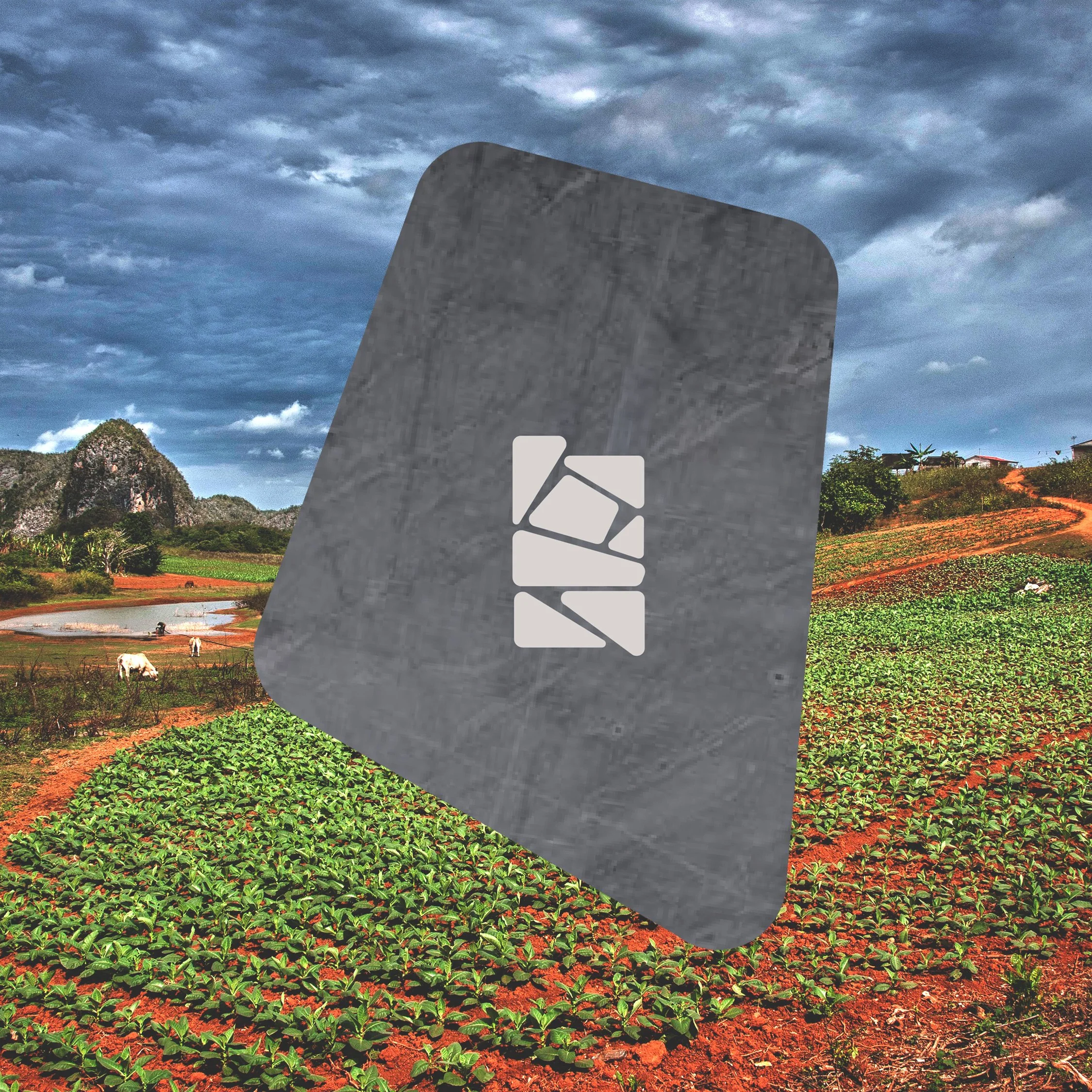 A rural farm landscape with green crops, white cows, a pond, mountains in the background, and cloudy sky, overlaid with a semi-transparent gray rectangle and a white logo in the center in Cuba.