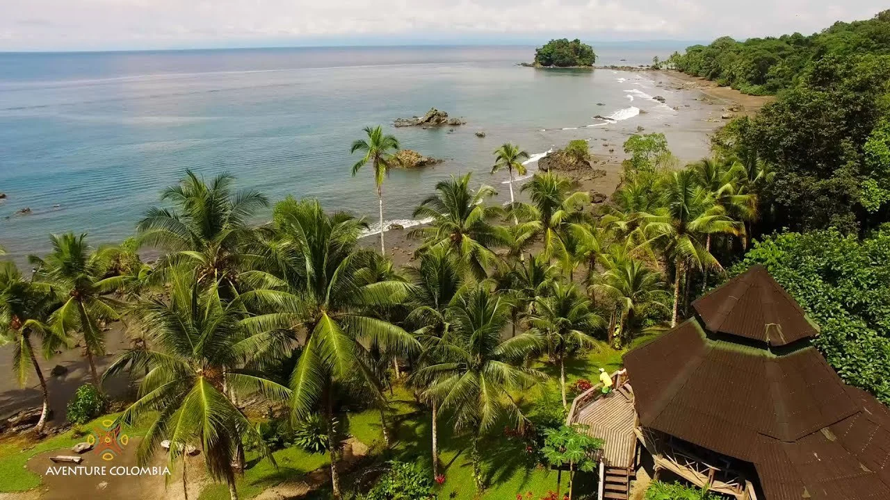 A tropical beach scene with numerous palm trees, a sandy shoreline, and the ocean. There is a thatched-roof structure and a person visible near it. Logo in bottom left corner reads "Aventur Colombia."