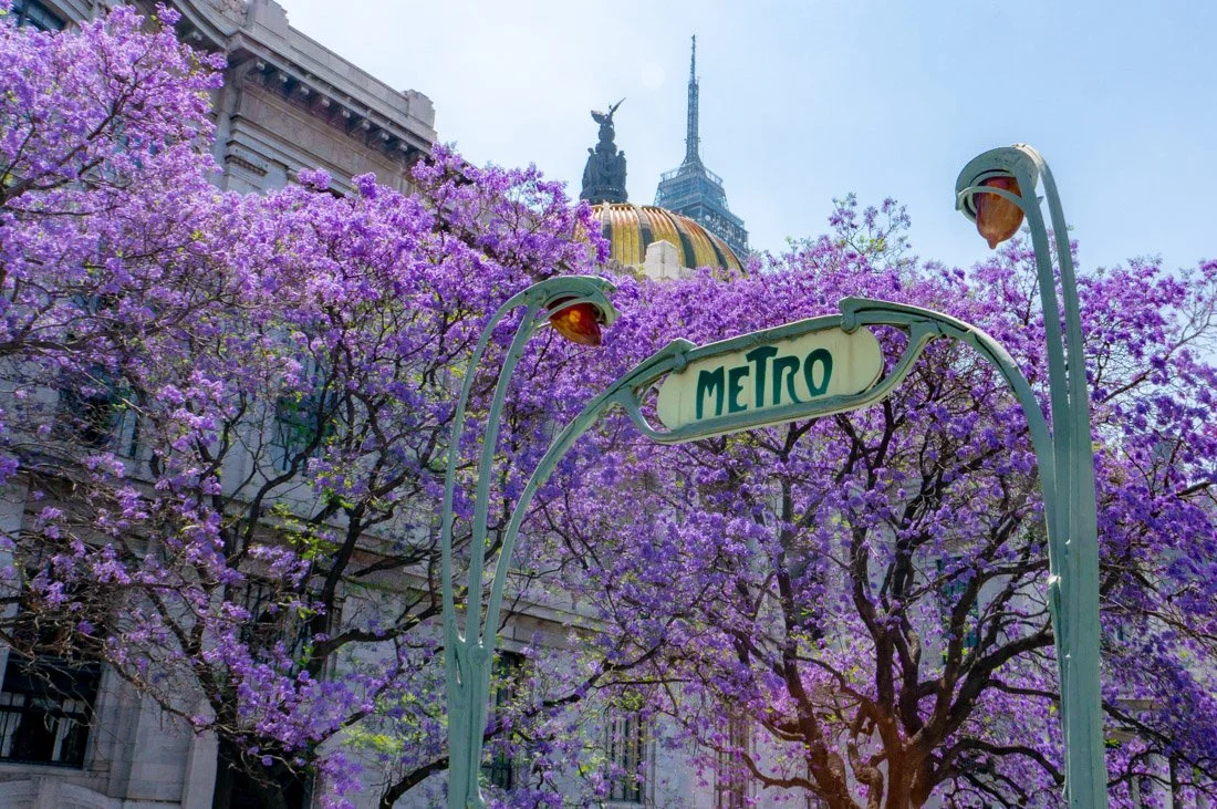 City street entrance with purple blooming trees, a metro station sign, and a historic building with a golden dome and a clock tower in the background.