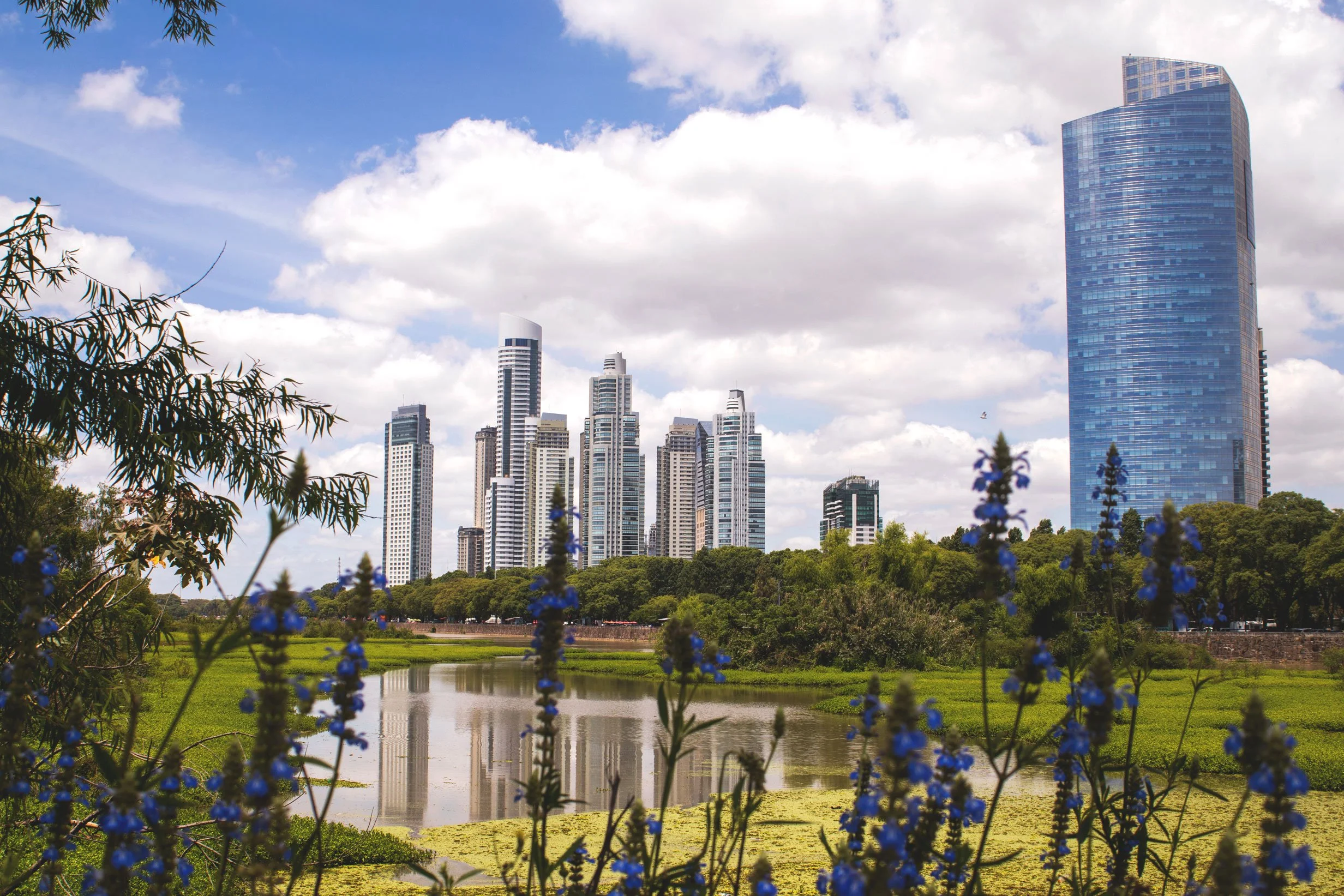 City skyline with modern skyscrapers behind a green park and pond, with blue flowers in foreground.