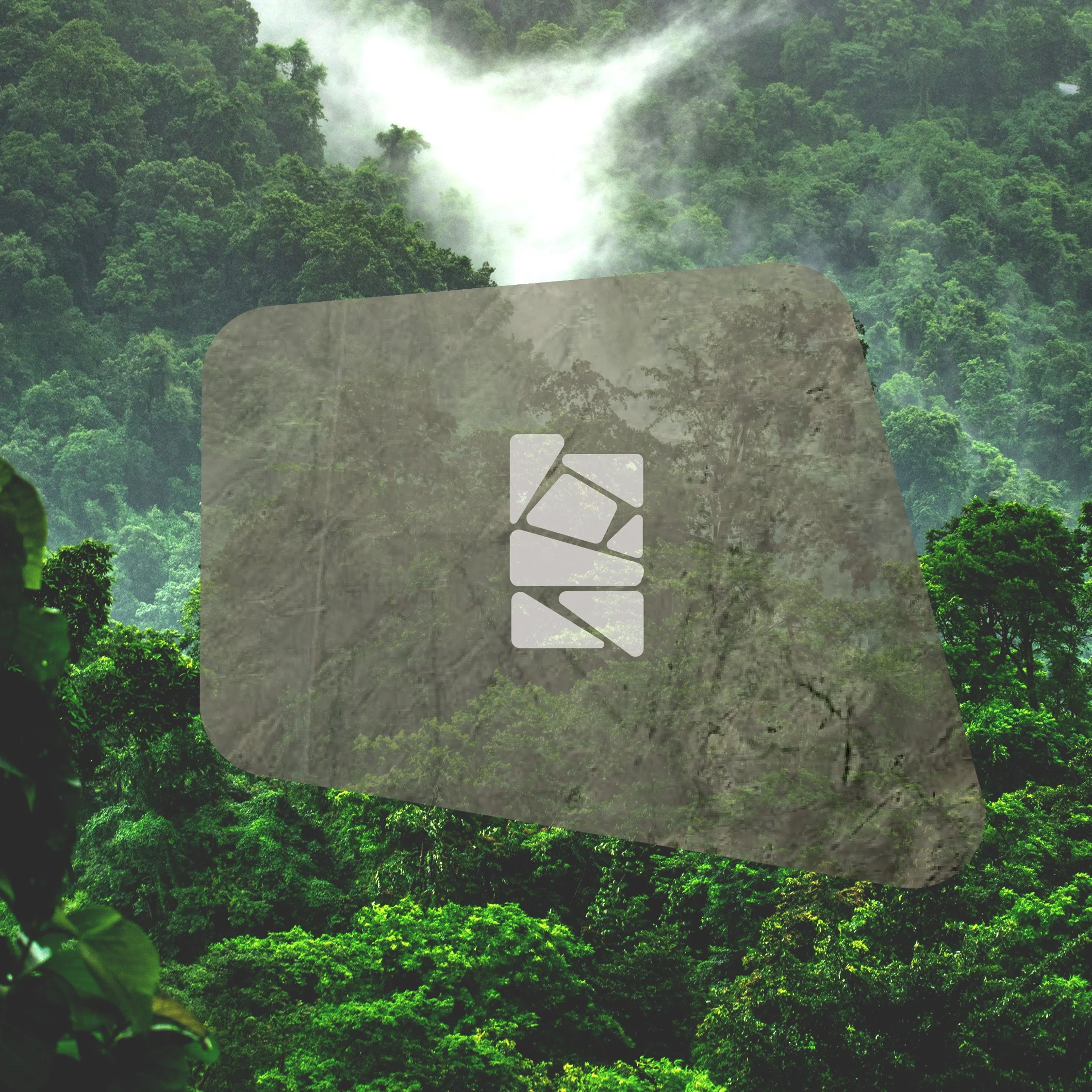 A lush green tropical rainforest with dense trees and mist in the background.