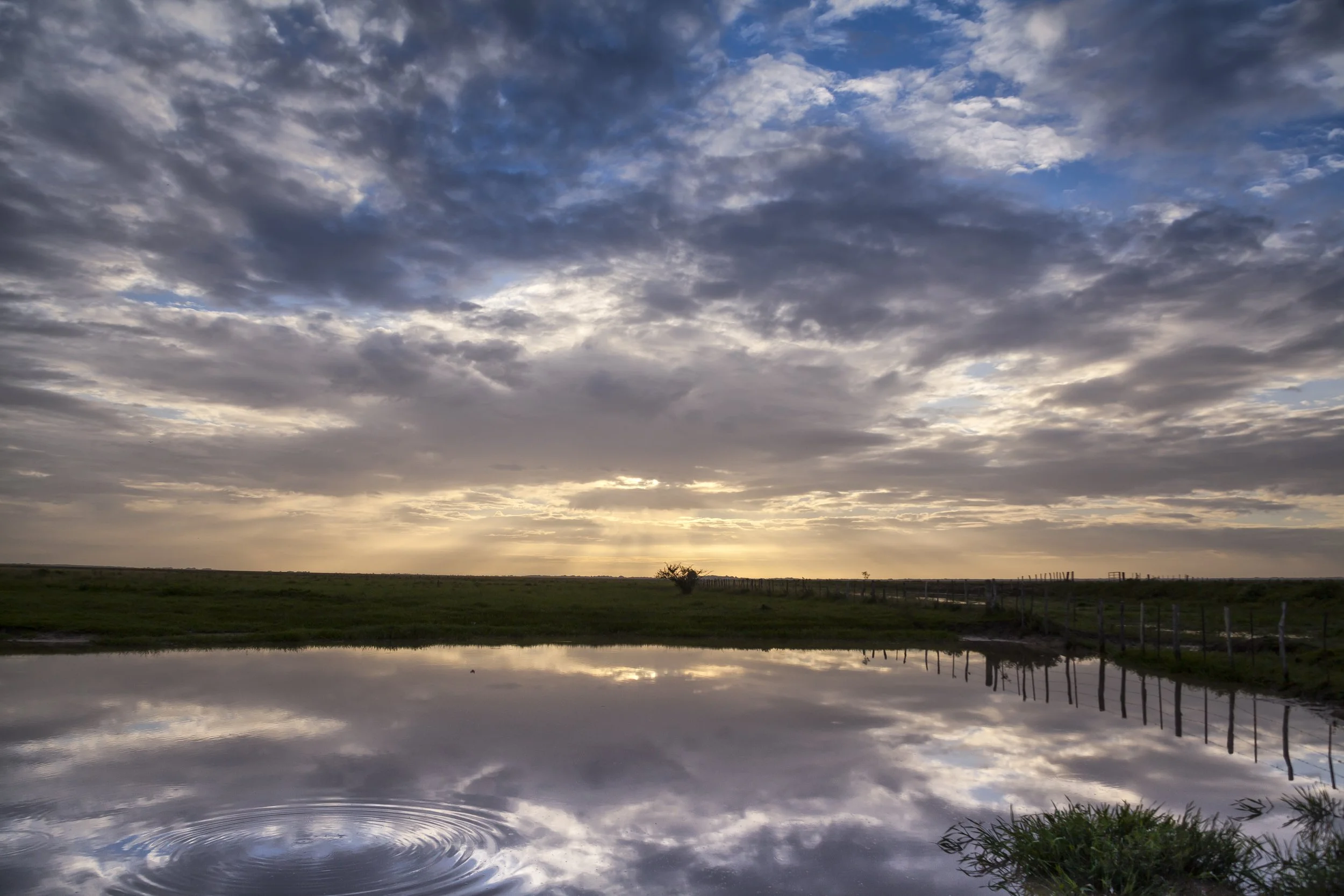 A serene landscape featuring a calm body of water reflecting a cloudy sky at sunset, with green grass and a wooden fence on the horizon. Patagonia.