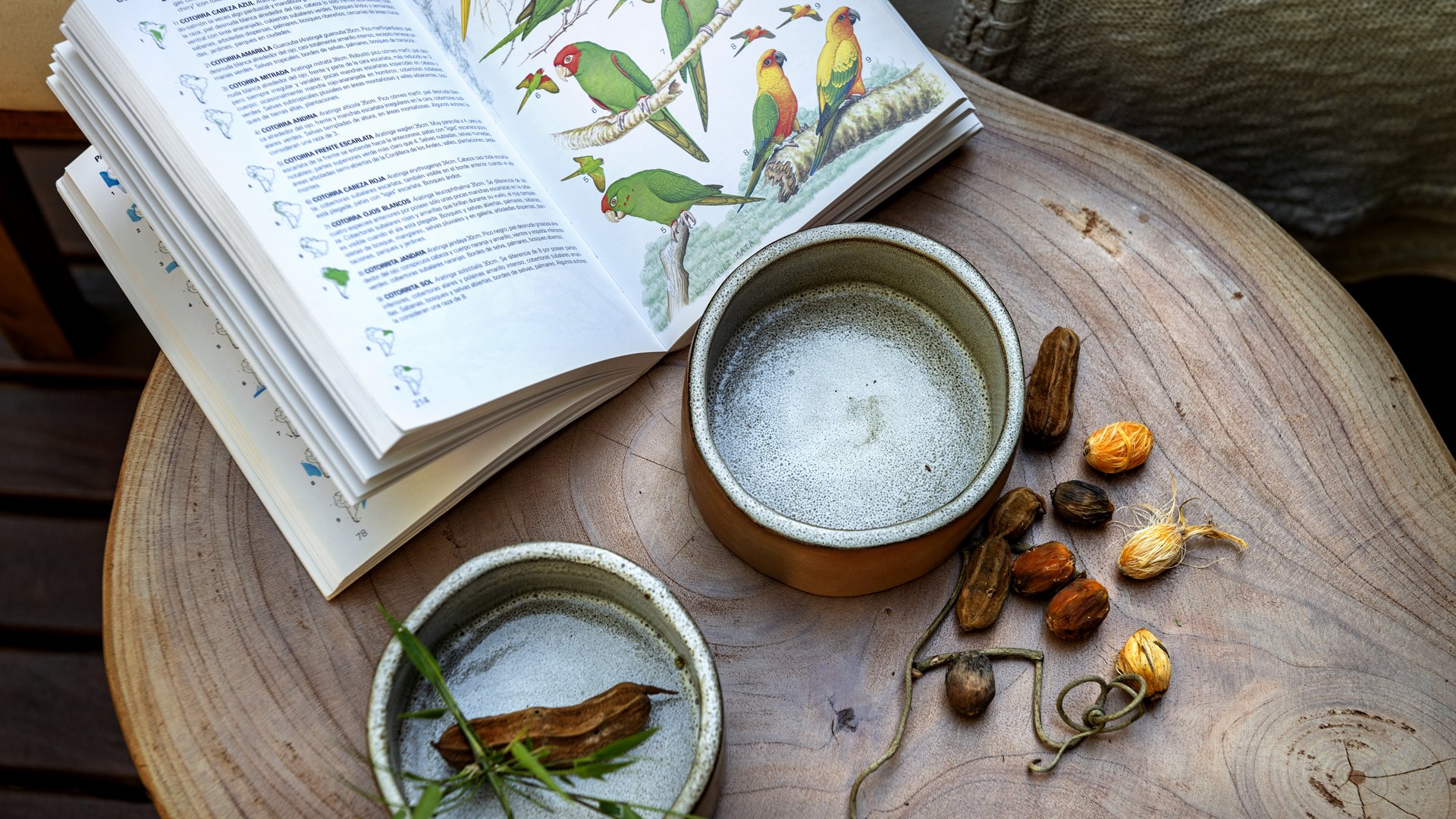 An open book with colorful bird illustrations lies on a wooden surface. Two ceramic cups, one empty and the other with a tea bag, are also on the table. Dried seeds, a twig, and some green leaves are scattered nearby. Argentina.