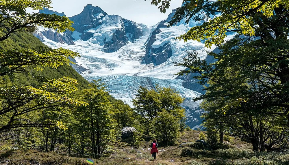 A person in a red jacket walking through a forested area towards a glacier and snow-capped mountains in the background, in Chile.