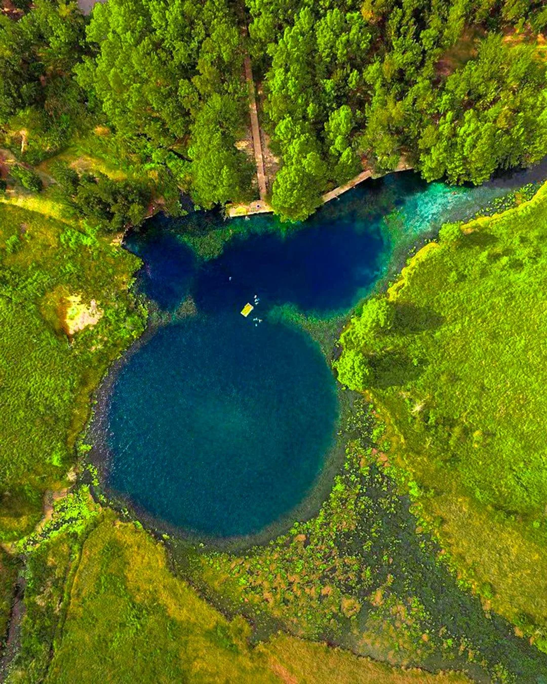 Aerial view of two connected lakes surrounded by dense green trees and grassy areas.