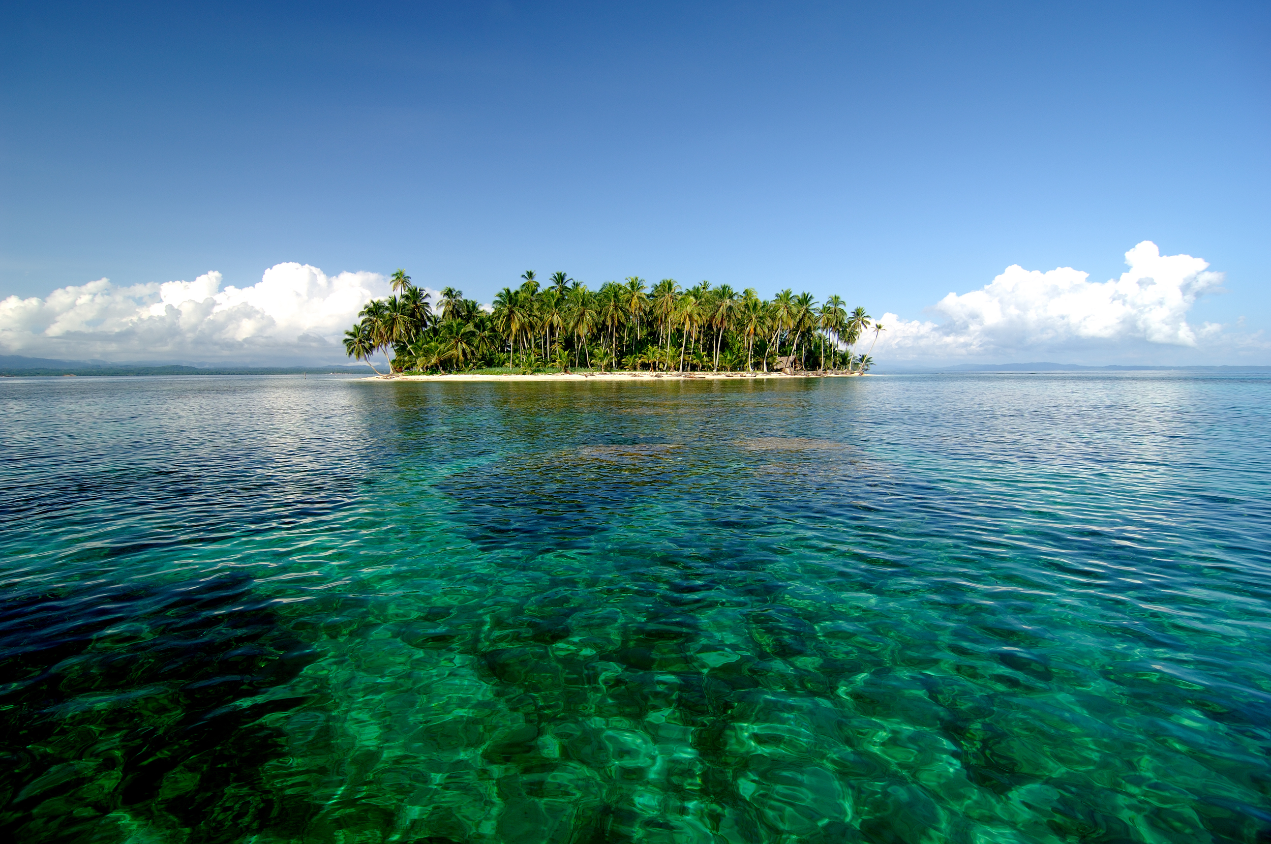 Tropical island with palm trees surrounded by clear blue water under a bright sky.