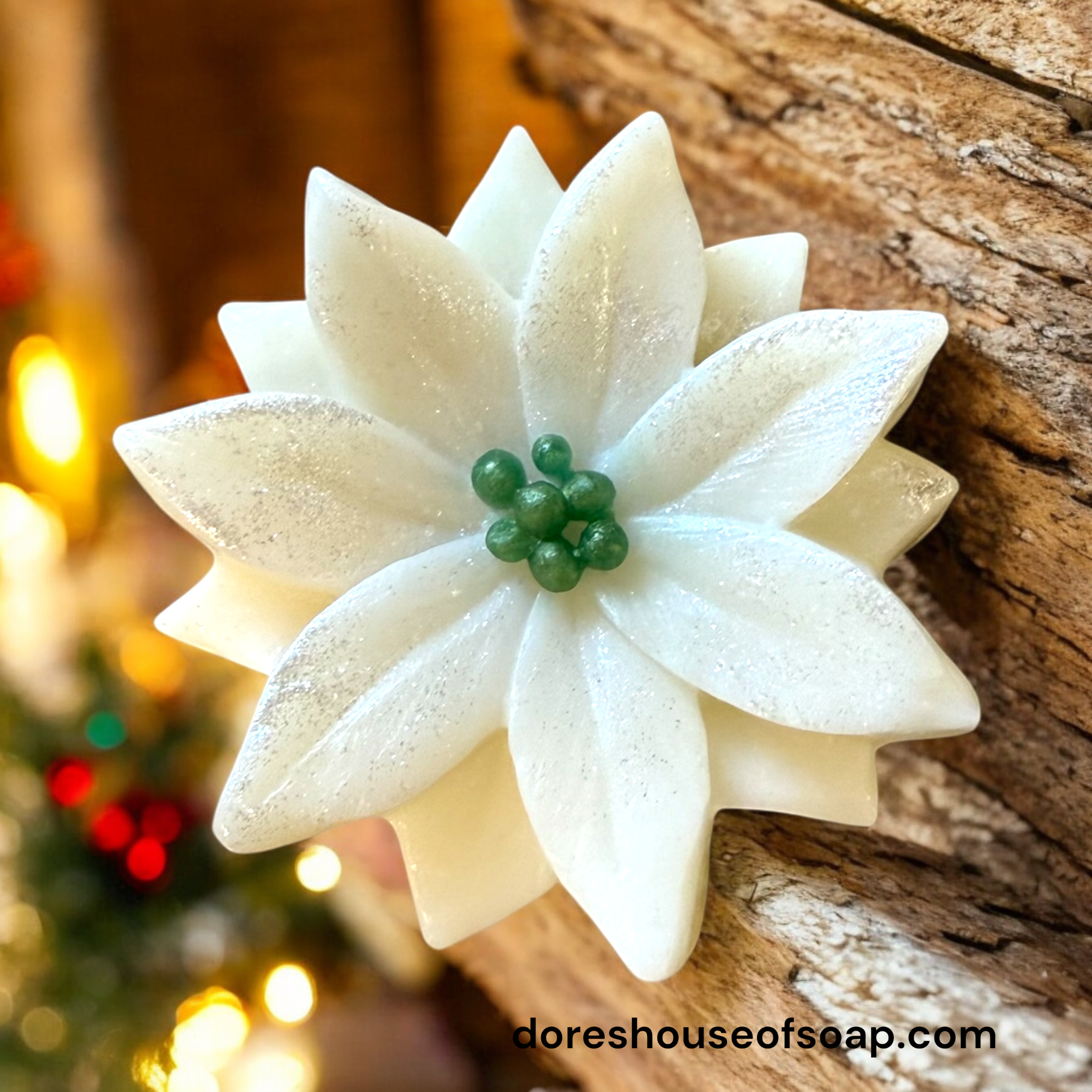 White Poinsettia