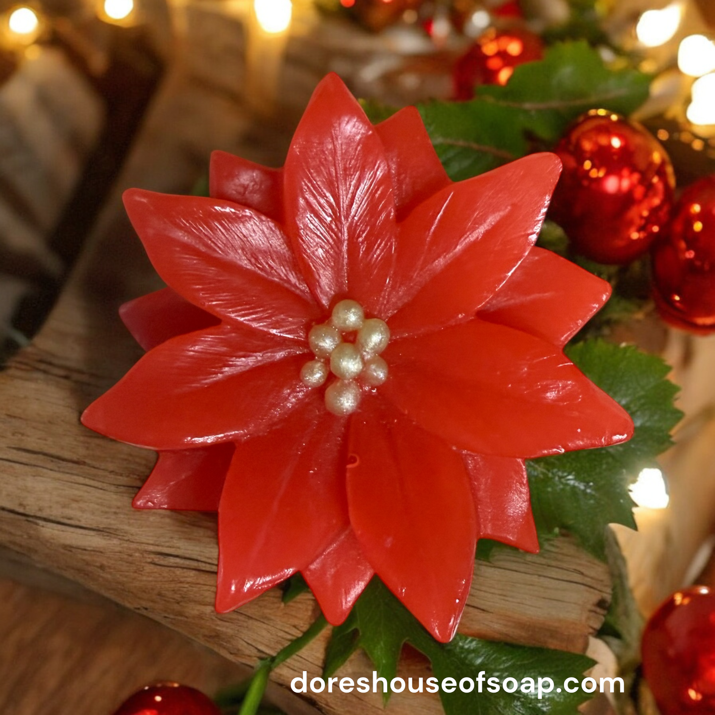 Red Poinsettia