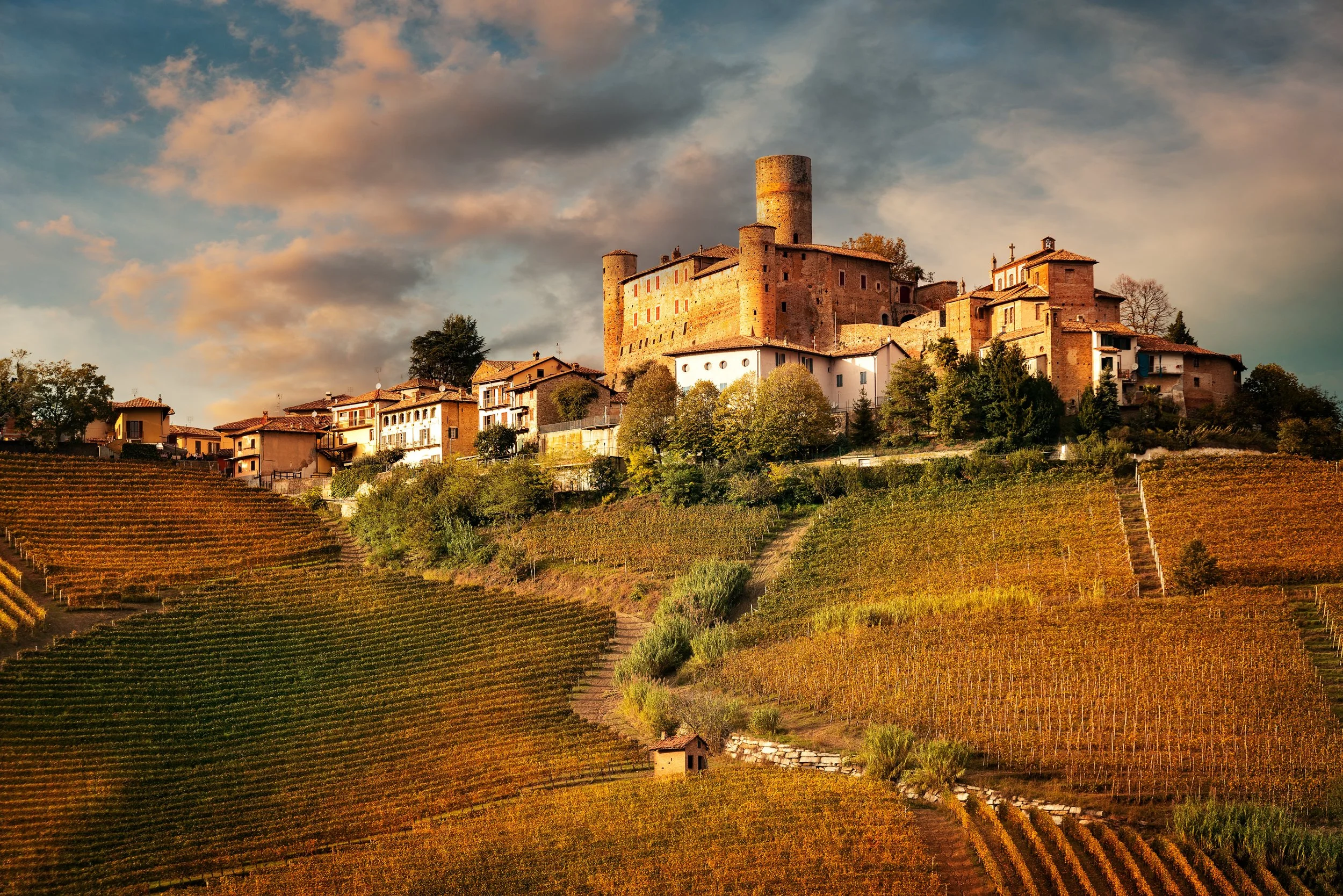 Thursday, November 13th | Evening in Piemonte Wine Dinner