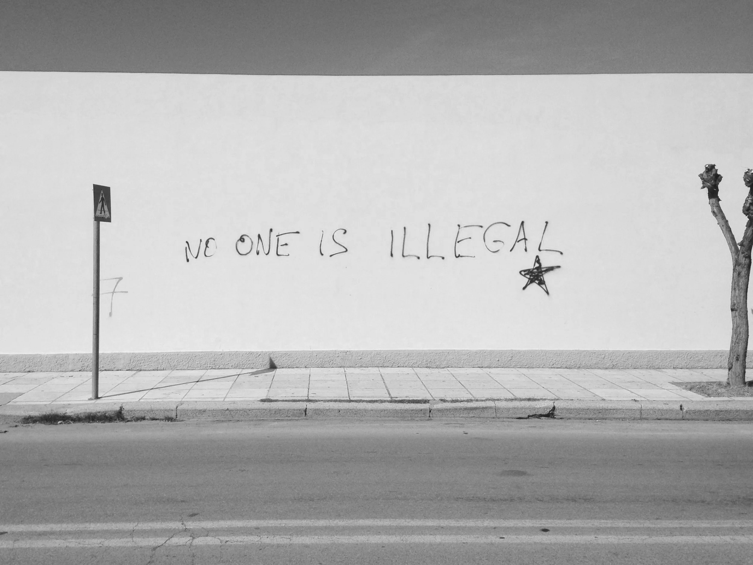 Mur blanc avec inscription graffiti en anglais 'No one is illegal', un panneau de signalisation, deux arbres. Photo en noir et blanc.