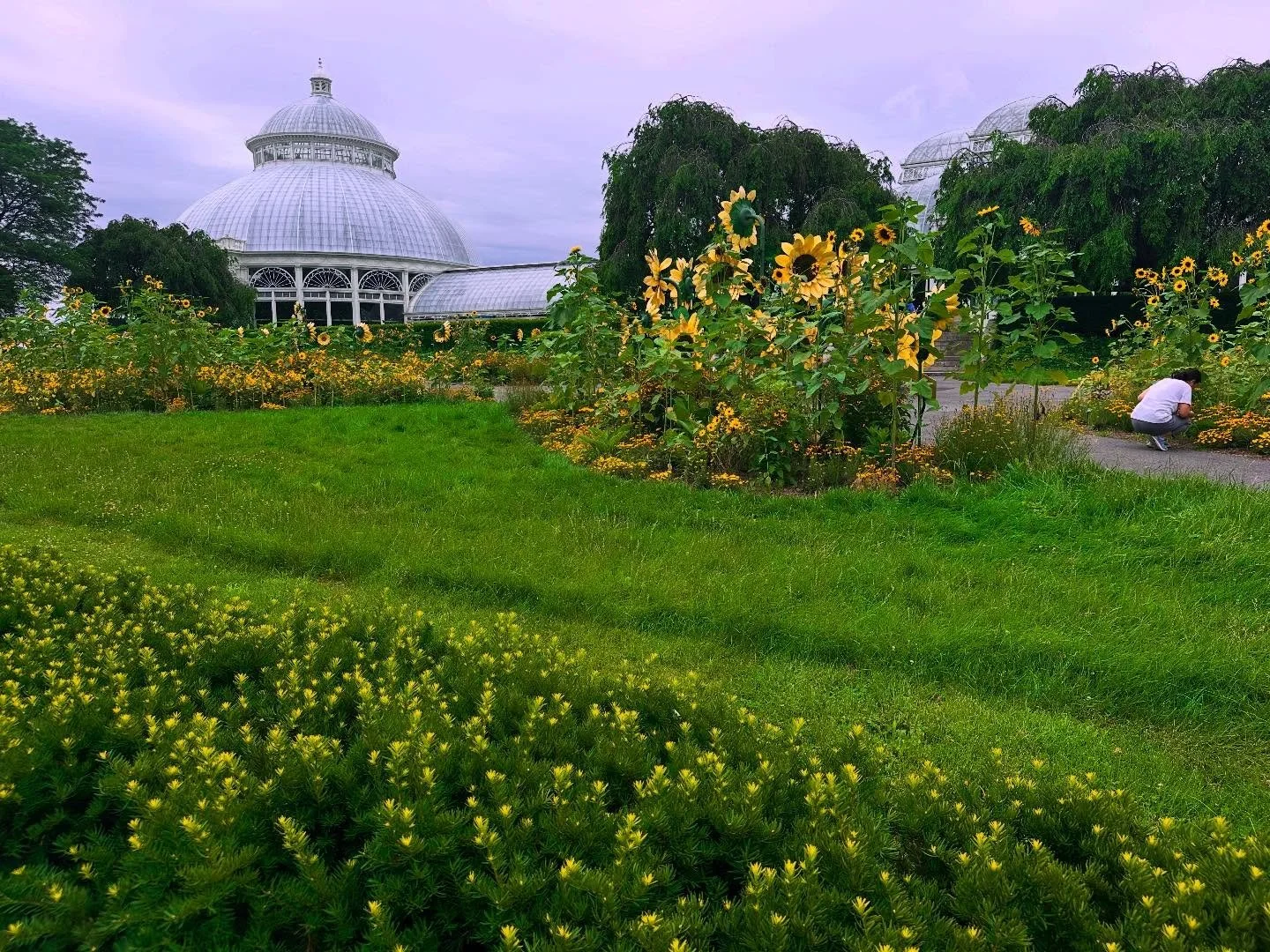 One of my favorite places on earth #nybg