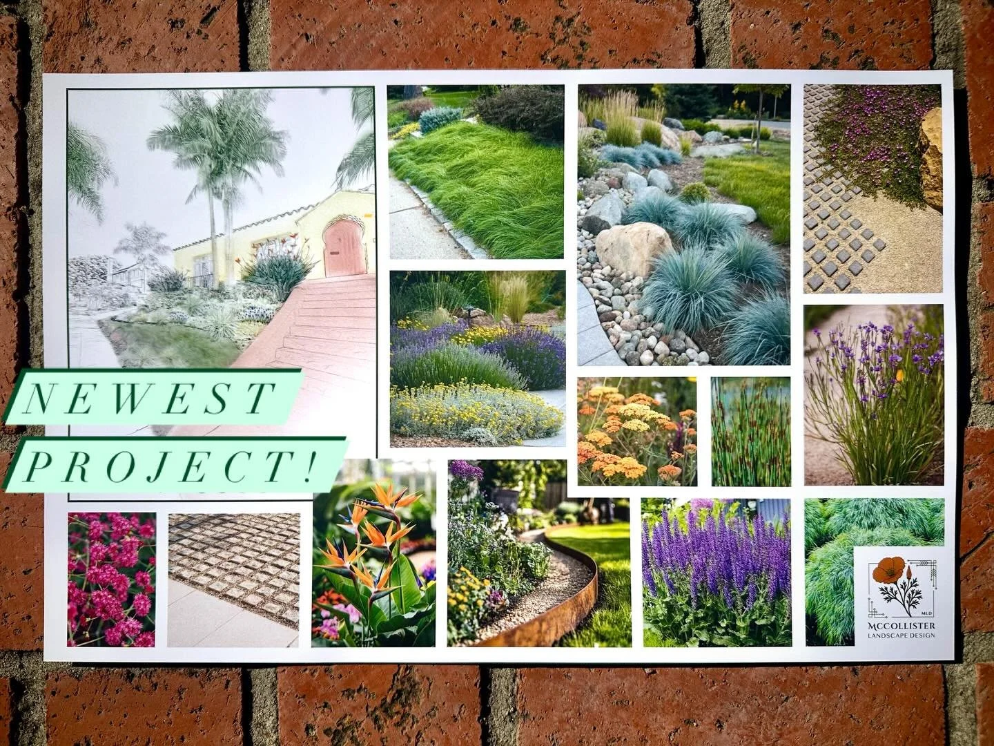 So much fun dreaming up this landscape. #landscapedesign #missionhills