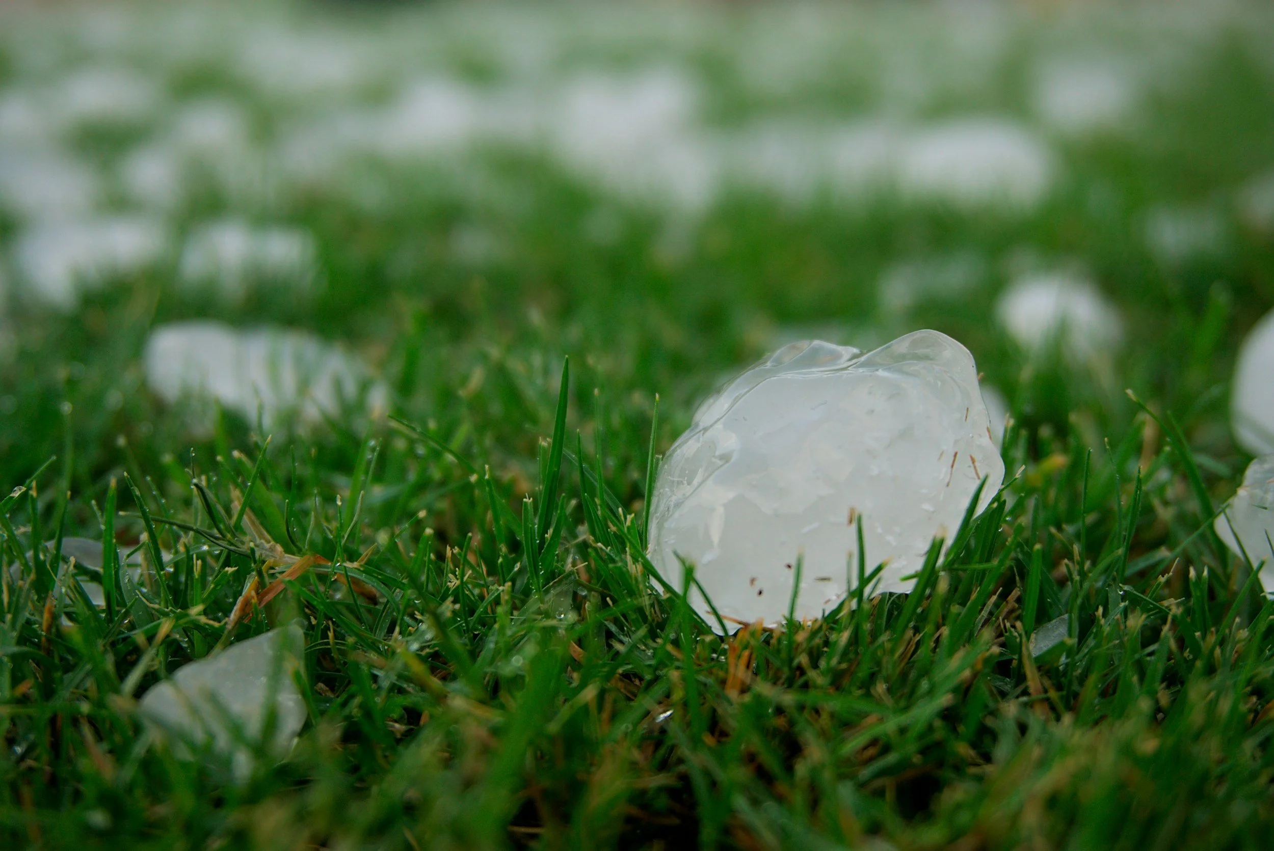 Hail Damage in Tampa, Florida: Understanding the Risks and How to Protect Your Property