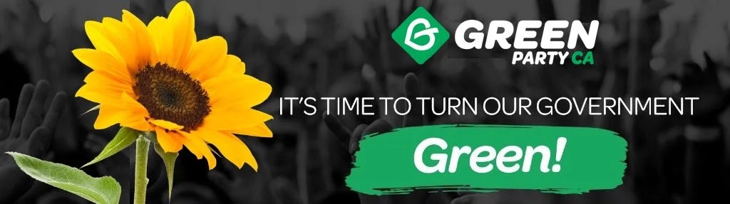 Greens in June 2026