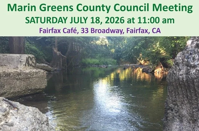 Marin Green Party County Council Meeting