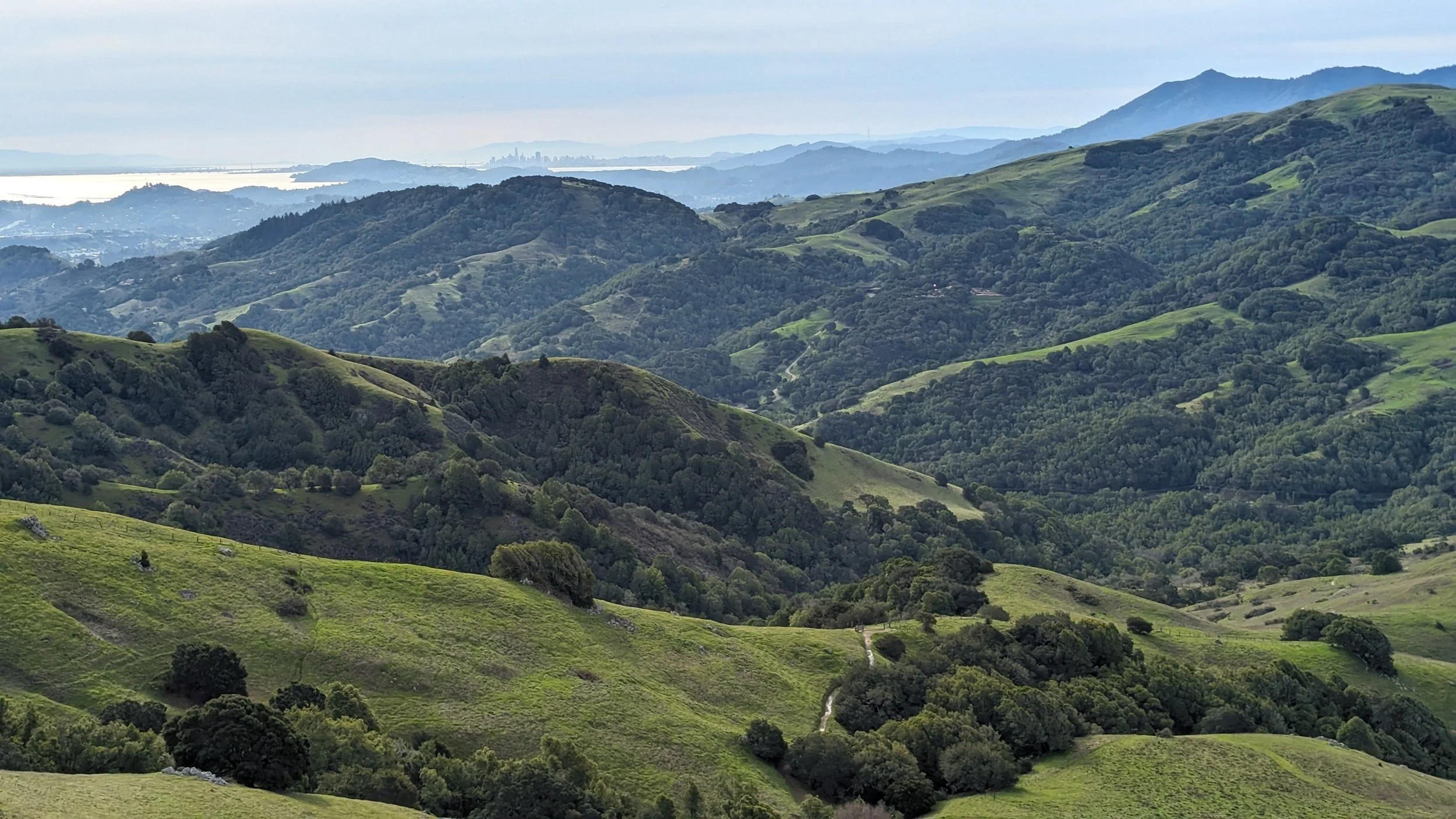 View from Big Rock Trail, Marin County