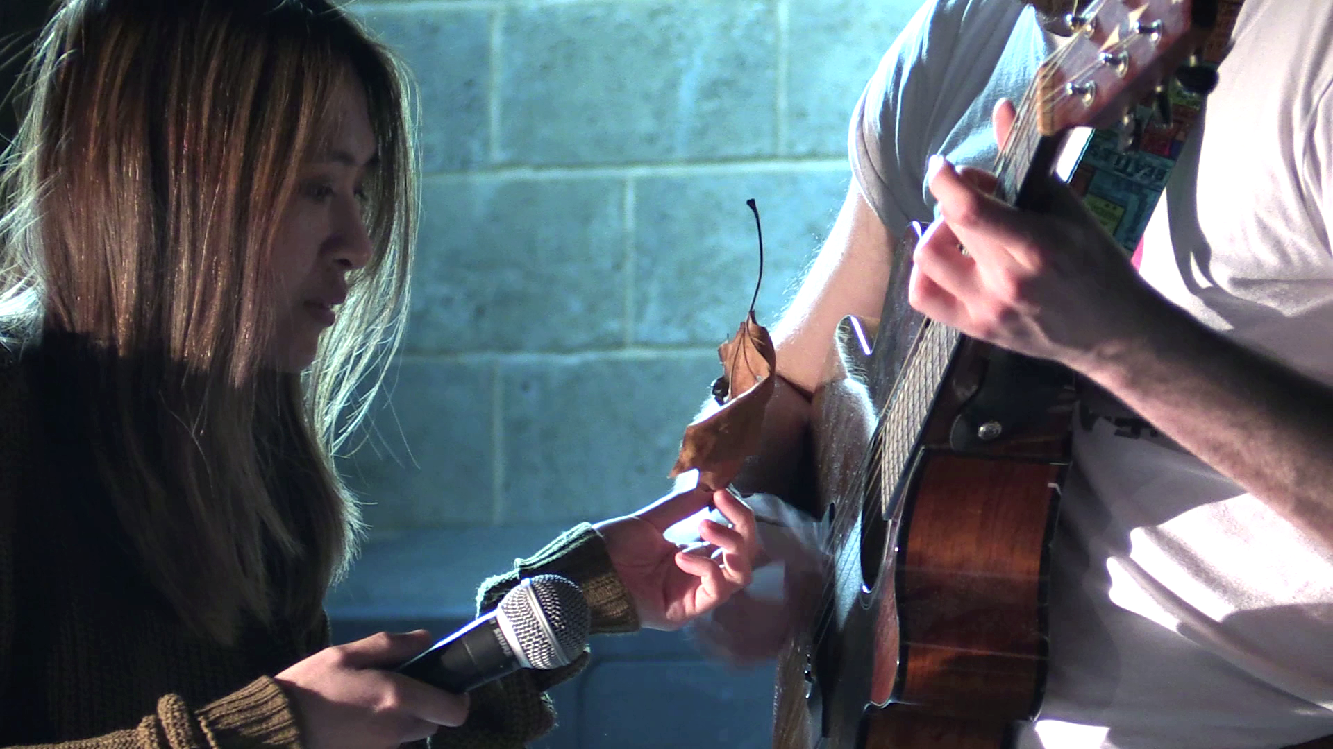 A woman holding a microphone and a leaf, watching a person playing an acoustic guitar.