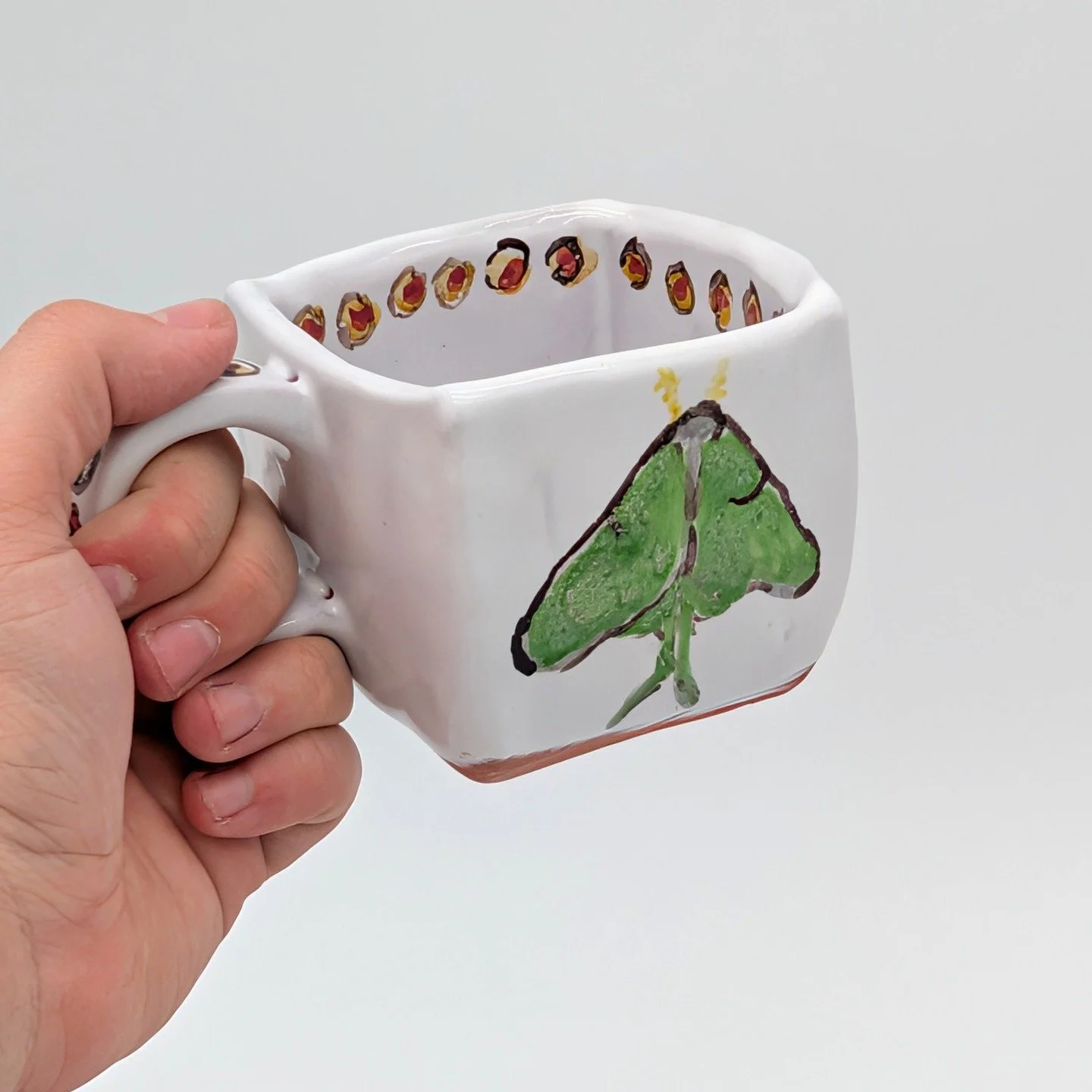 Moths🌟 in my childhood home, there was a light on the outside of the building above my mom's bedroom window, and sometimes when we woke up, there would be these absolutely gorgeous luna moths resting. I would spend a while just staring at them. 

I 