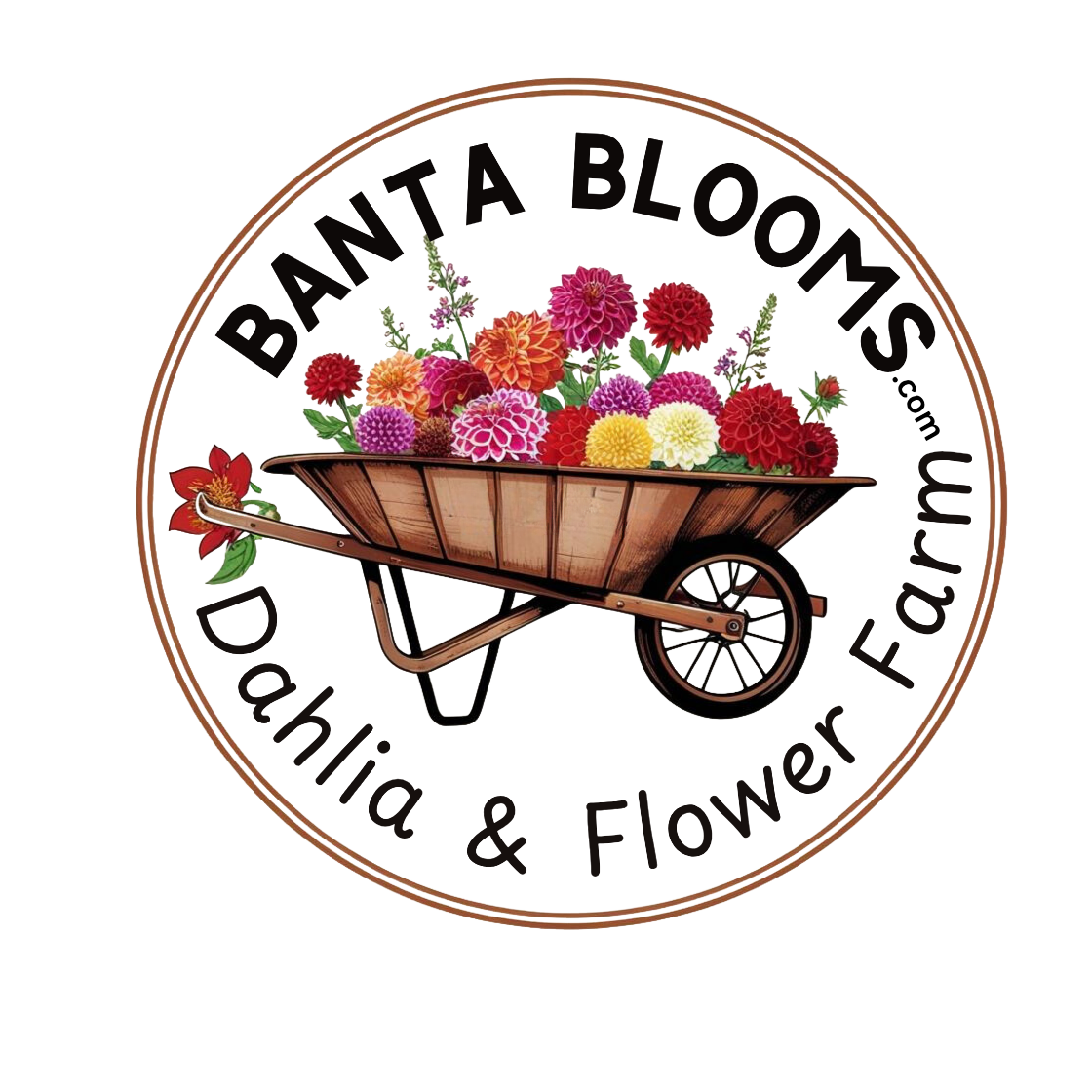 Banta Blooms