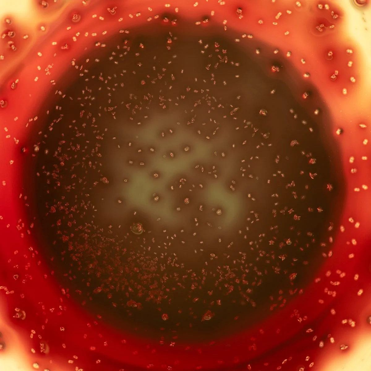 Truth at the Bottom of a Glass 3