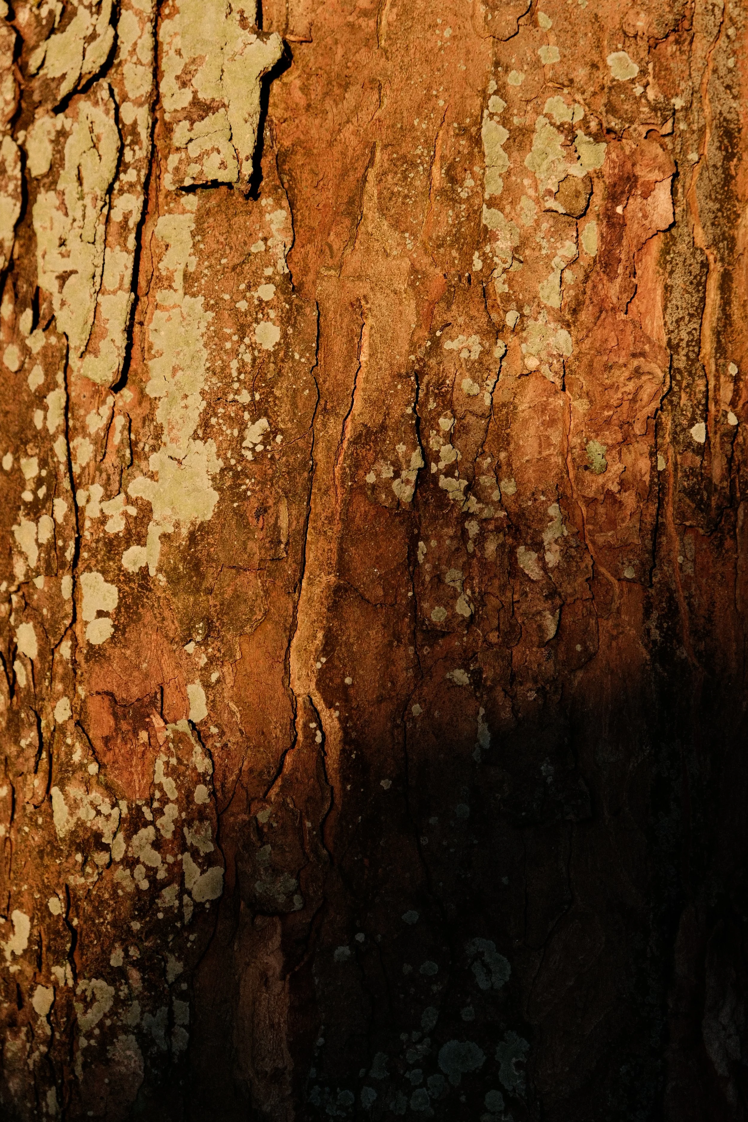 Boulogne-sur-Mer, France 2025