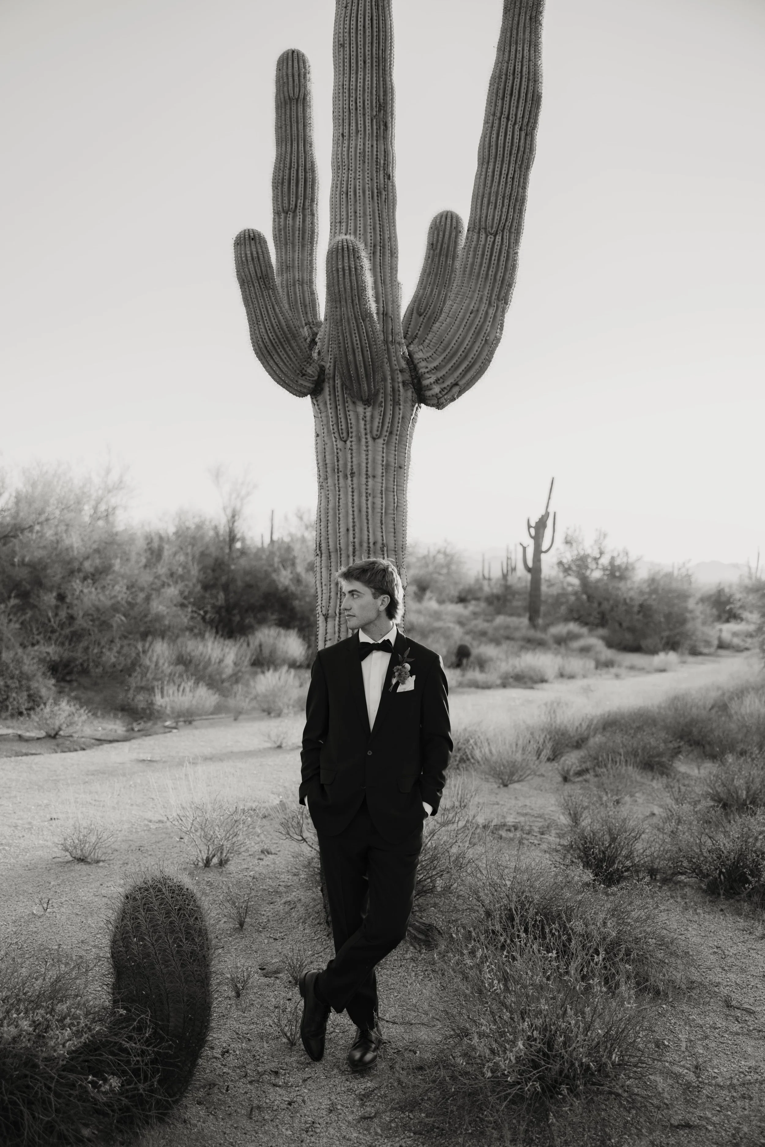 A man in a tuxedo standing in a desert landscape with tall cacti, including a large saguaro cactus behind him.