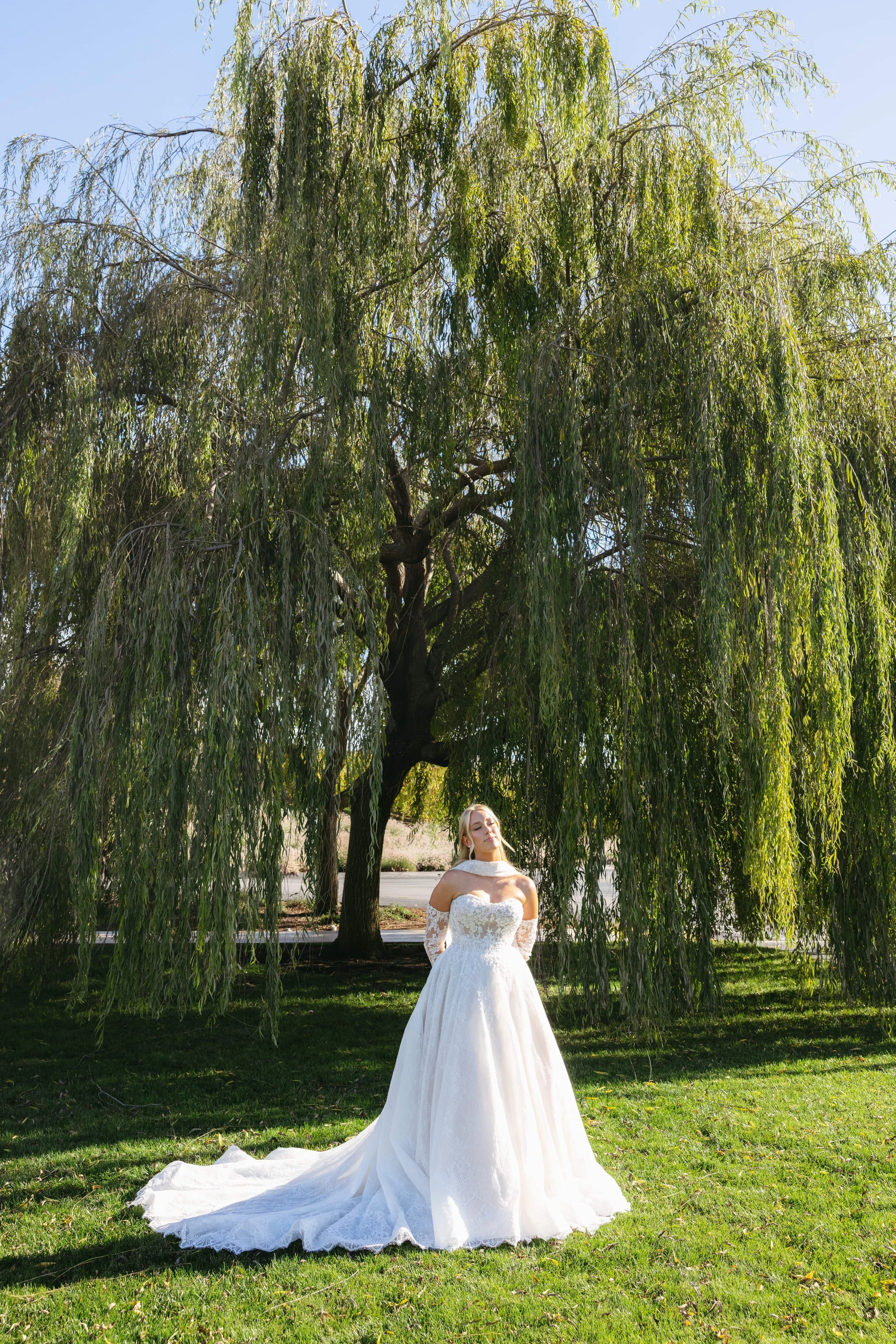 A bride in a white wedding gown standing under a large, leafy willow tree outdoors on a sunny day.