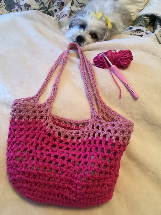 Crochet Pink Mini Mesh Tote