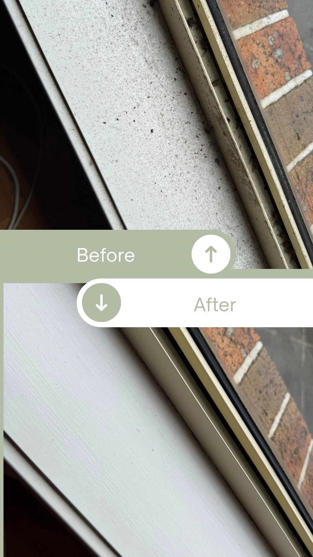 WhatsApp Image 2025-11-25 at 18.13.01.jpeg