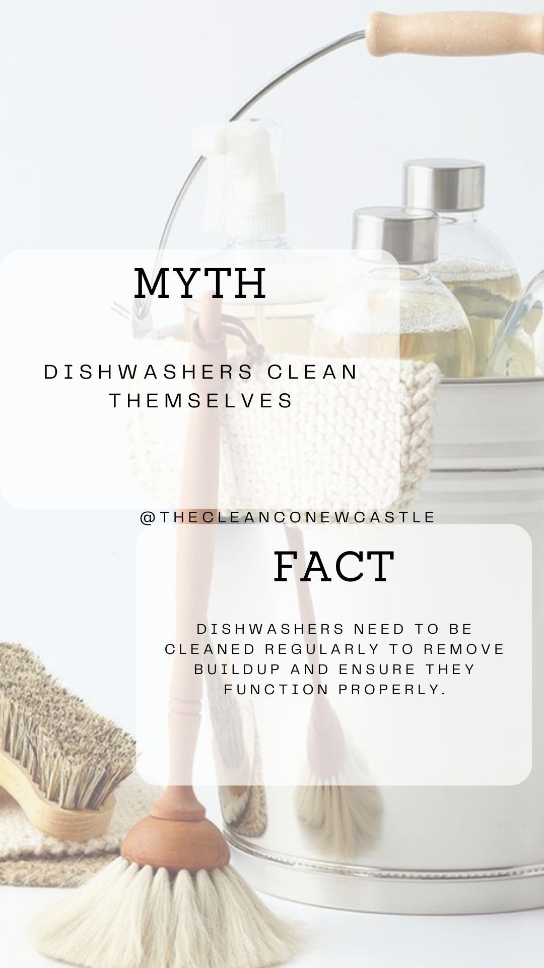 WhatsApp Image 2025-11-20 at 17.37.51.jpeg