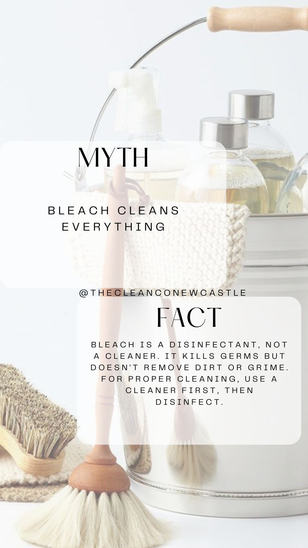 WhatsApp Image 2025-11-11 at 20.08.48.jpeg