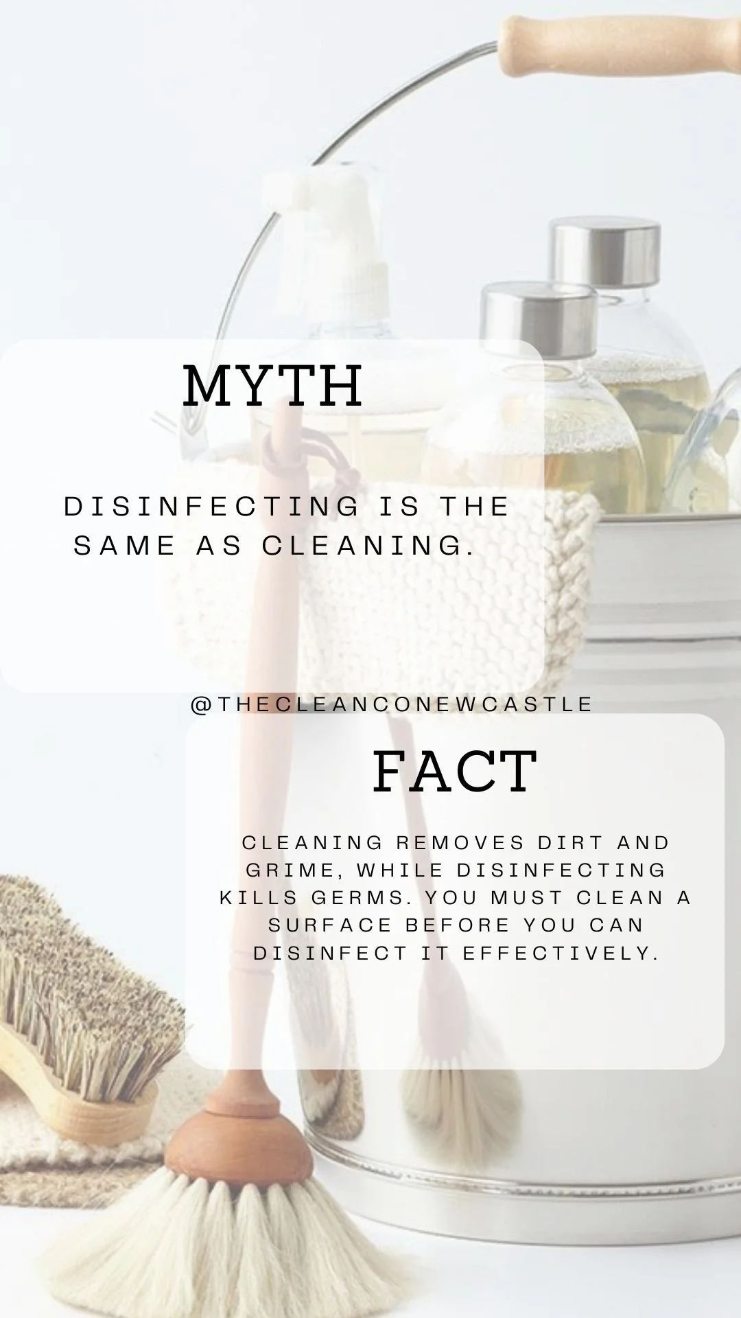 WhatsApp Image 2025-11-11 at 17.04.26.jpeg