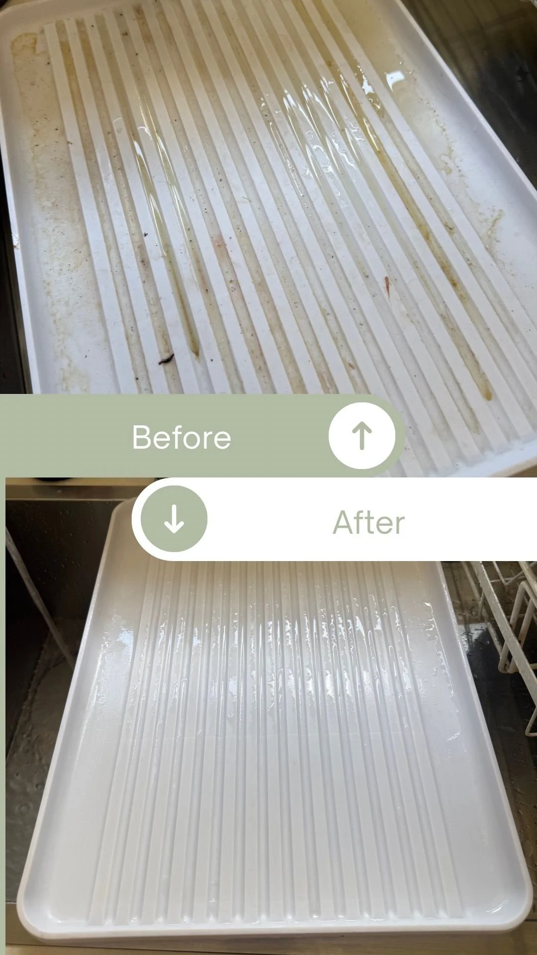 WhatsApp Image 2025-11-25 at 18.13.00.jpeg