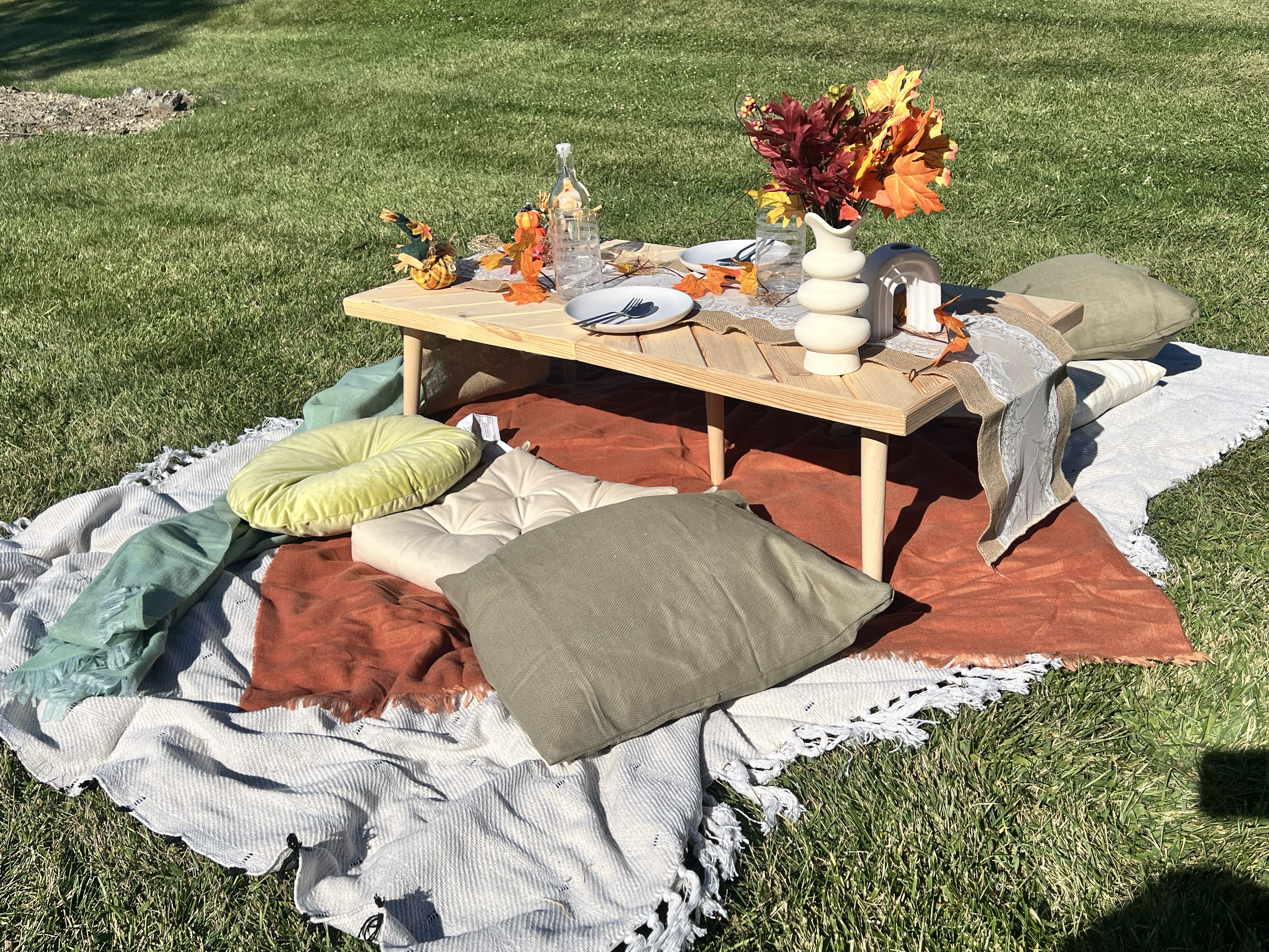 A picnic setup on a grassy field with a low wooden table, colorful pillows, a blanket, and autumn decorations including a vase with fall leaves and small gourds.