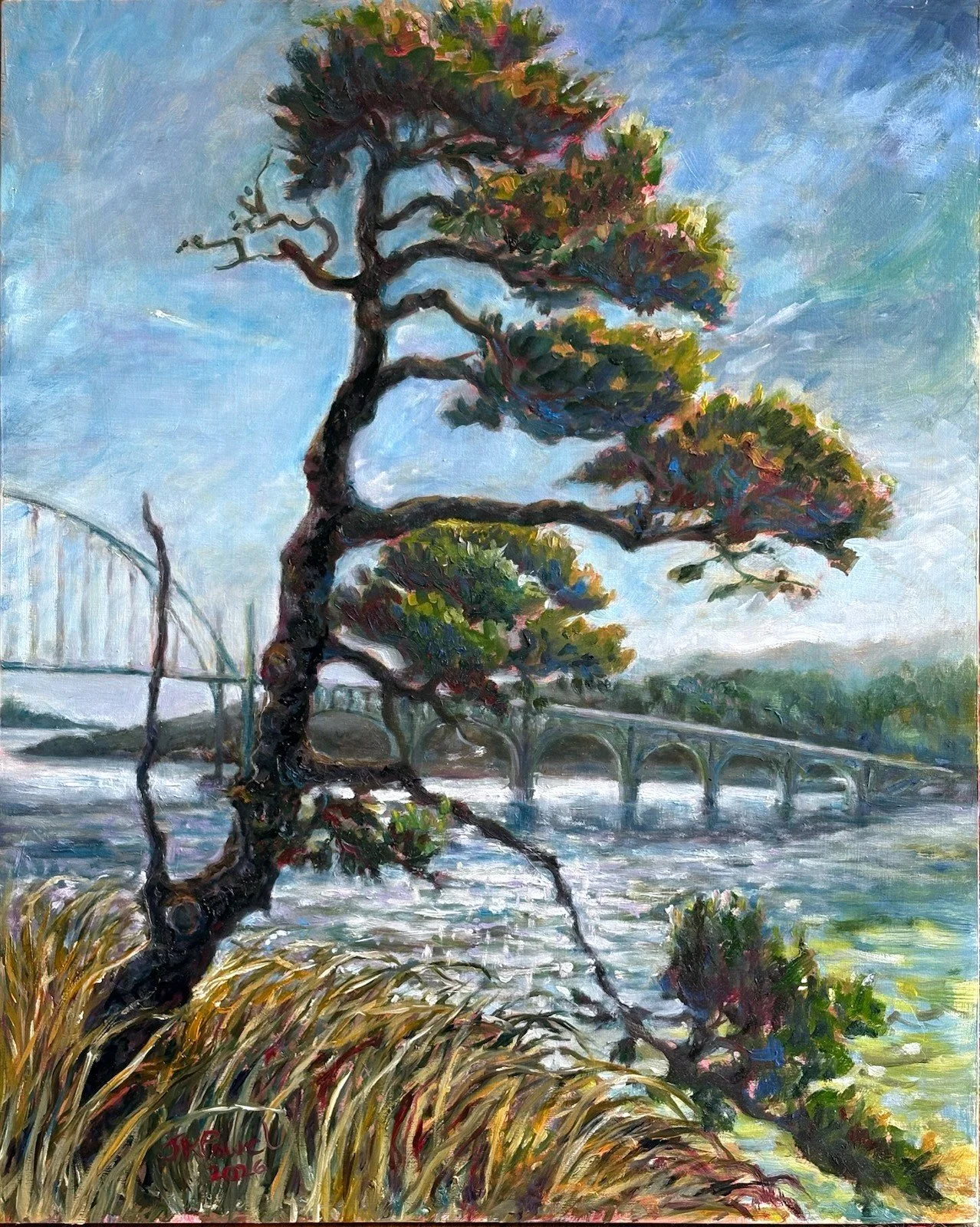 Sentinal Pine, Newport Bay, 2026. 16x20" Oil on board. $650 framed (2026SP03) Available