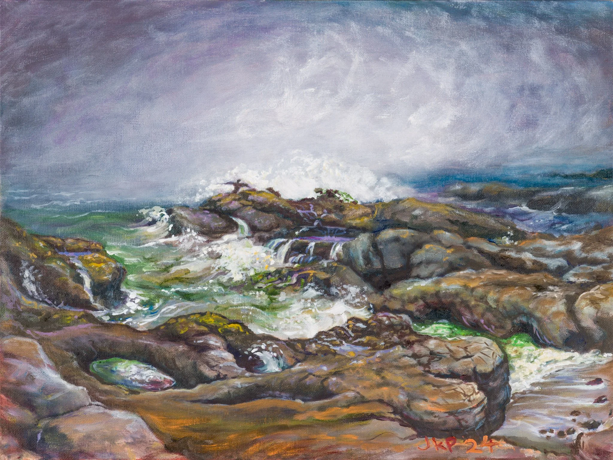 Cormorant Faces the Wave.jpg
