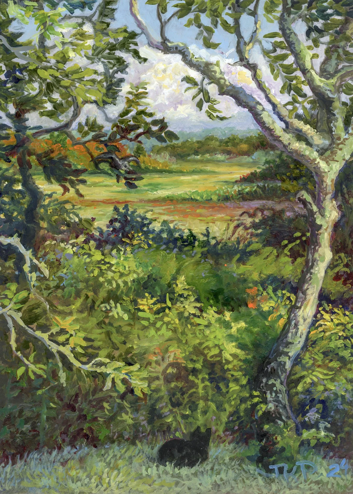 Marsha by the Marsh
