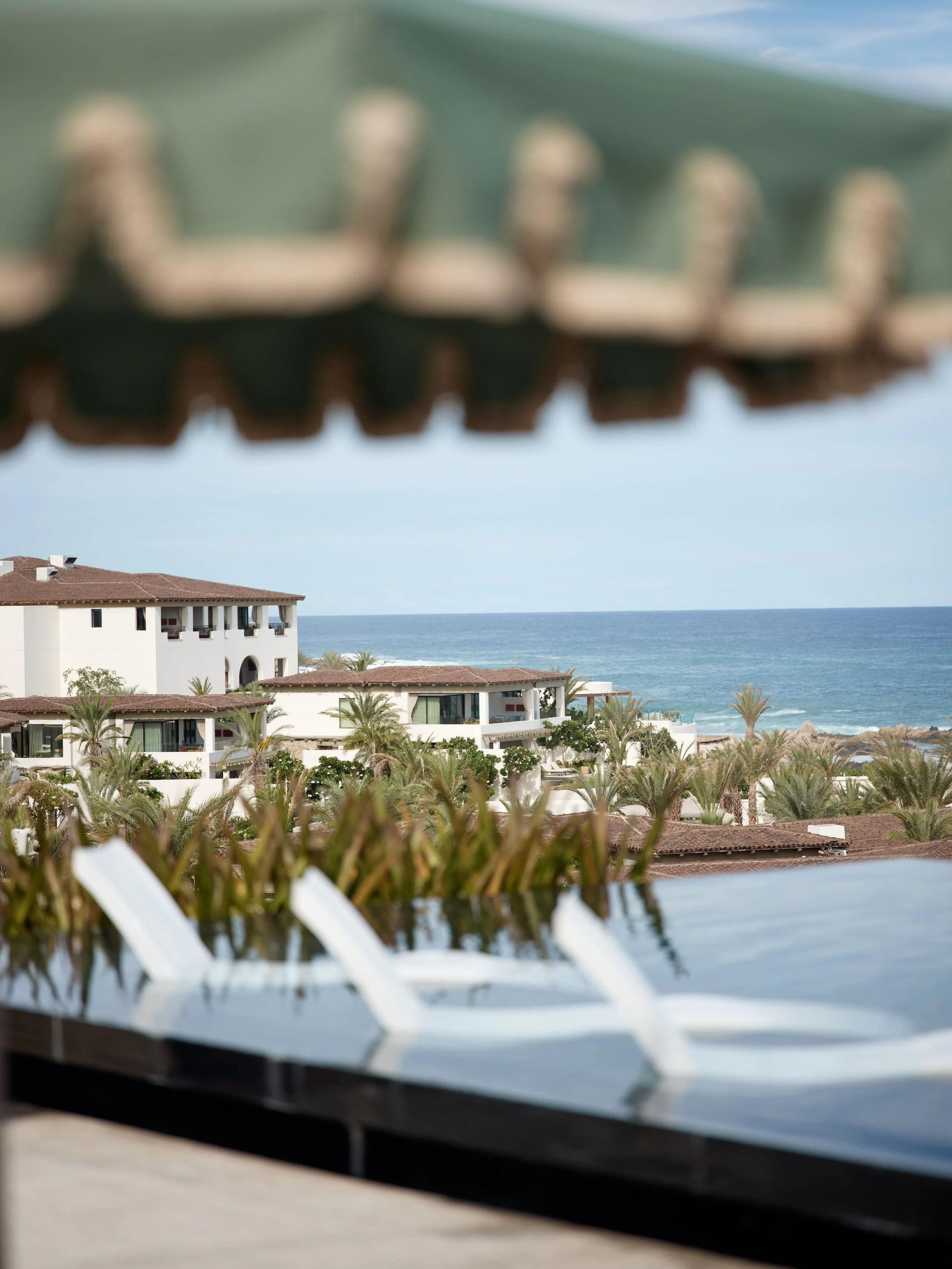 View of resort buildings near the ocean, with a partially obscured palm tree in the foreground and a cloudy sky.