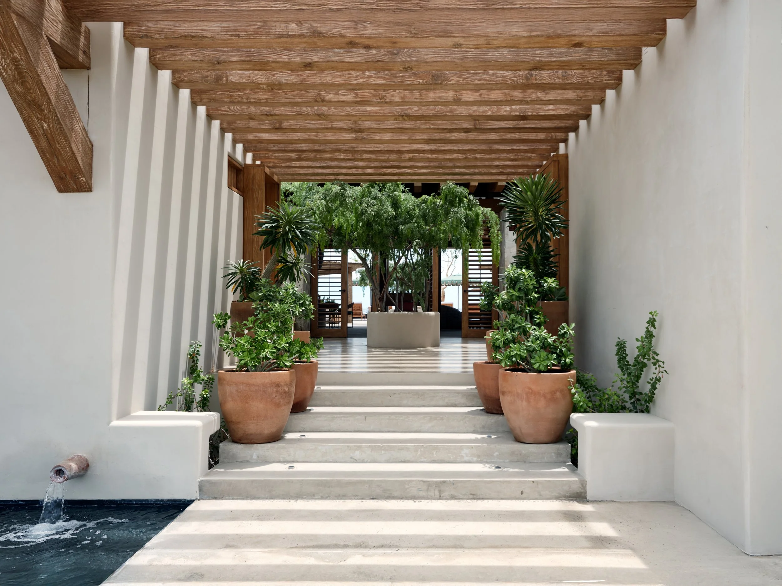Outdoor space with white walls and steps leading to a dining area with potted plants, trees, and wooden beams overhead.