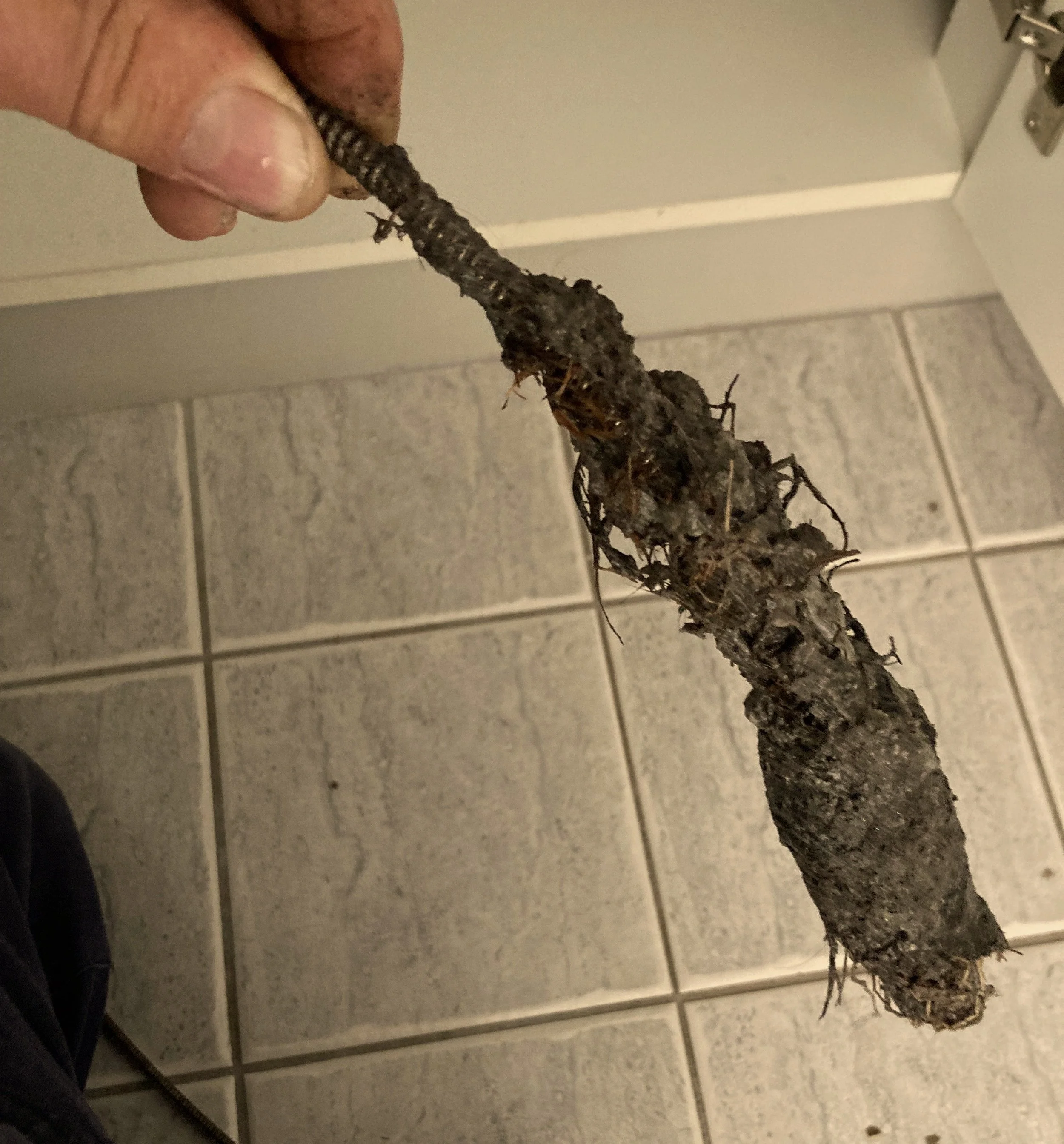 IMG_1332 - Blockage.jpg