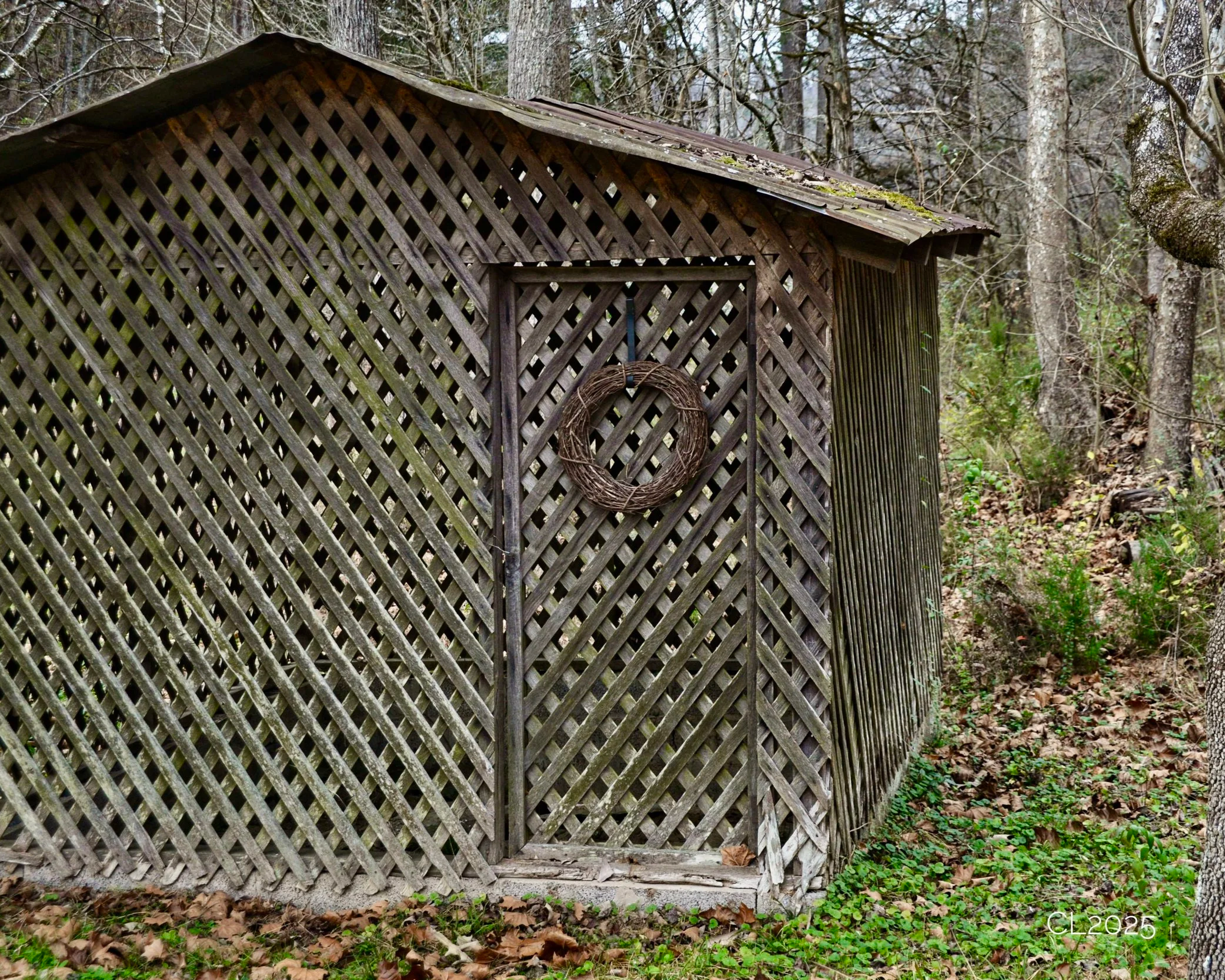 Snapshots from the Farmstead: A Week in Slow Living