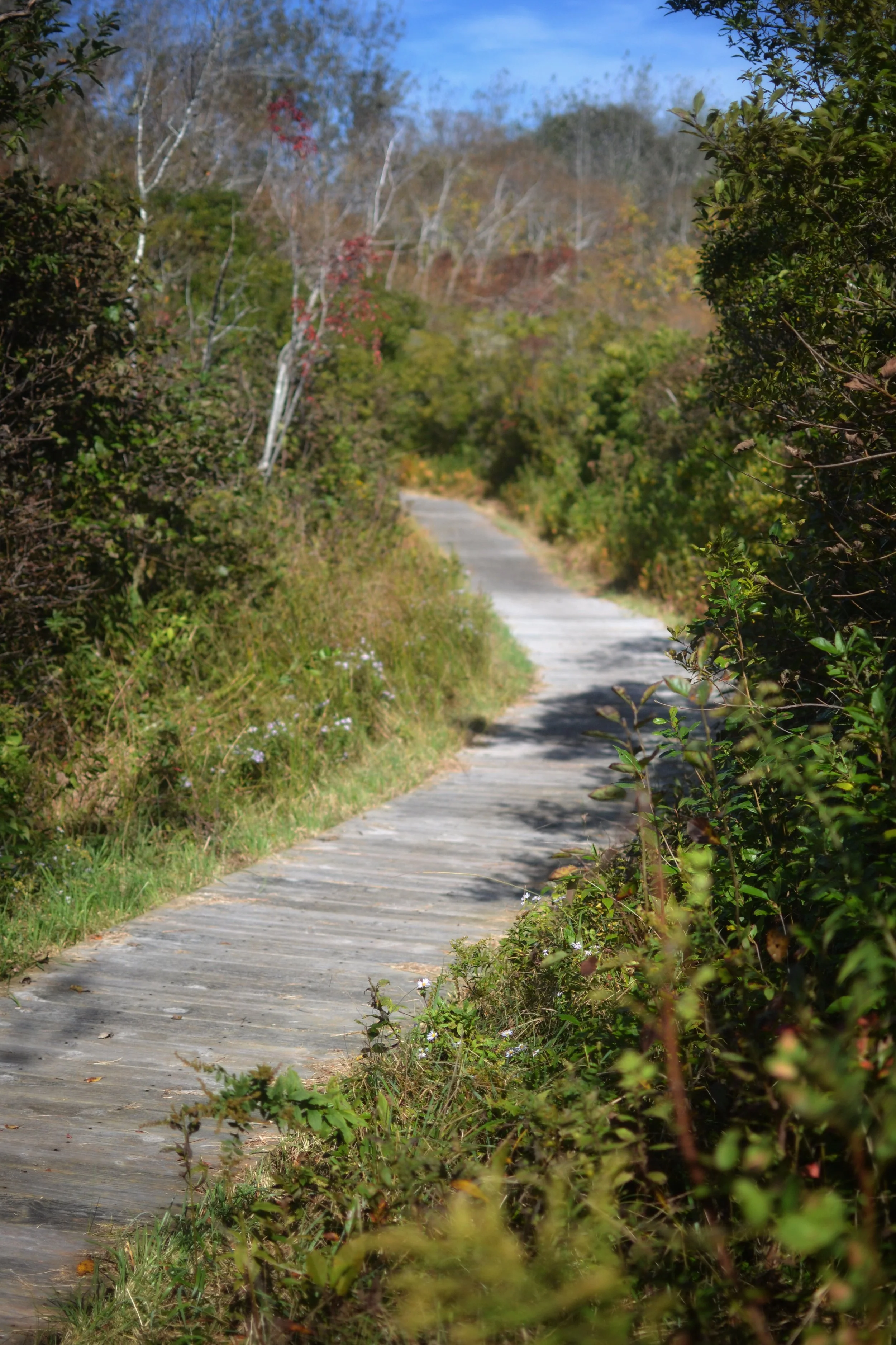 DSC_E0025.JPG