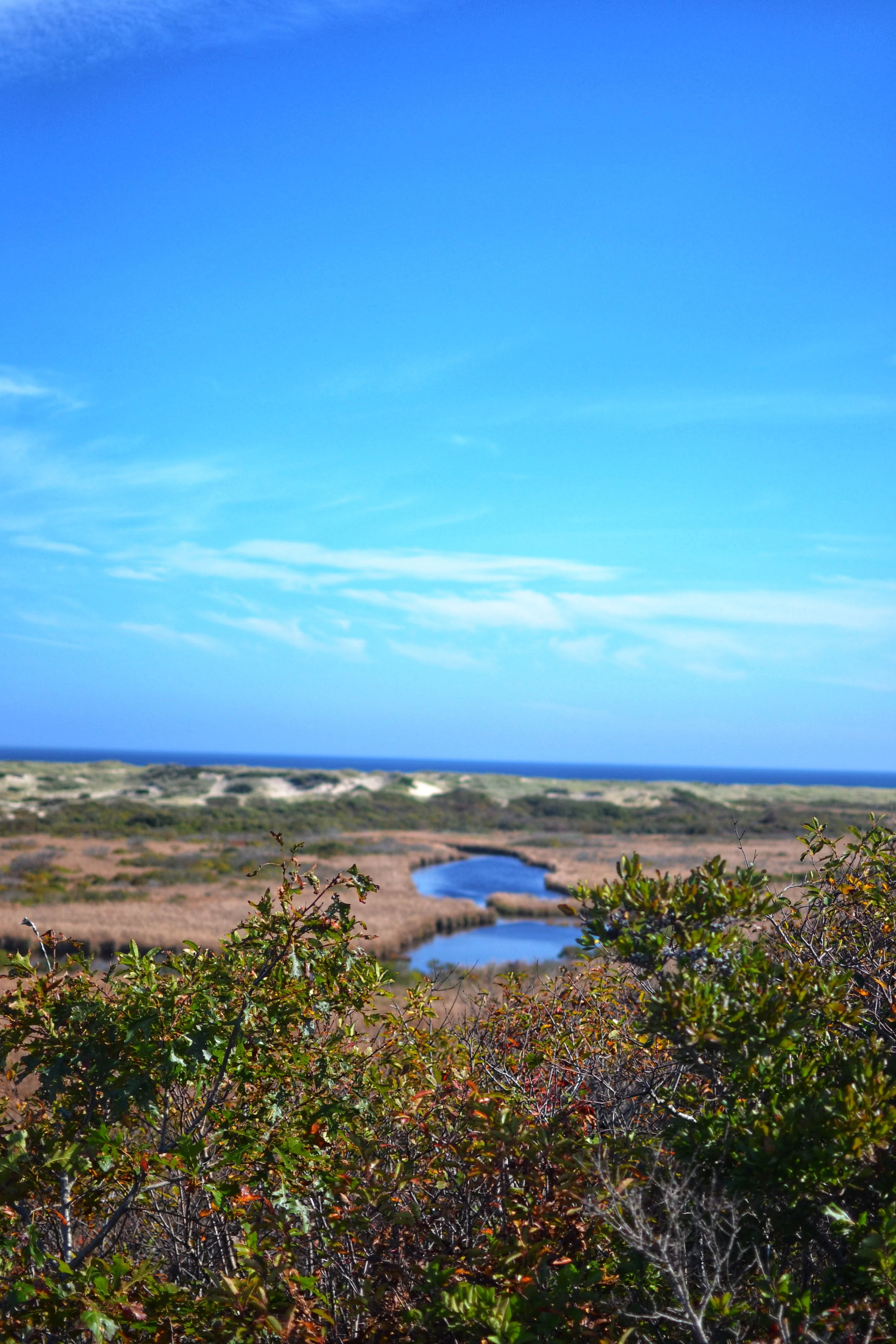DSC_E0026.JPG