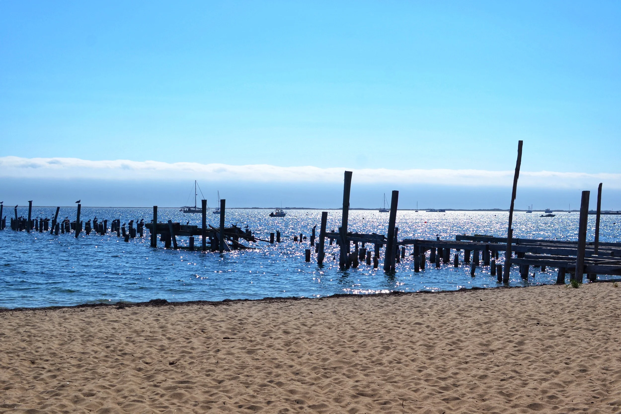 DSC_E0037_2.JPG