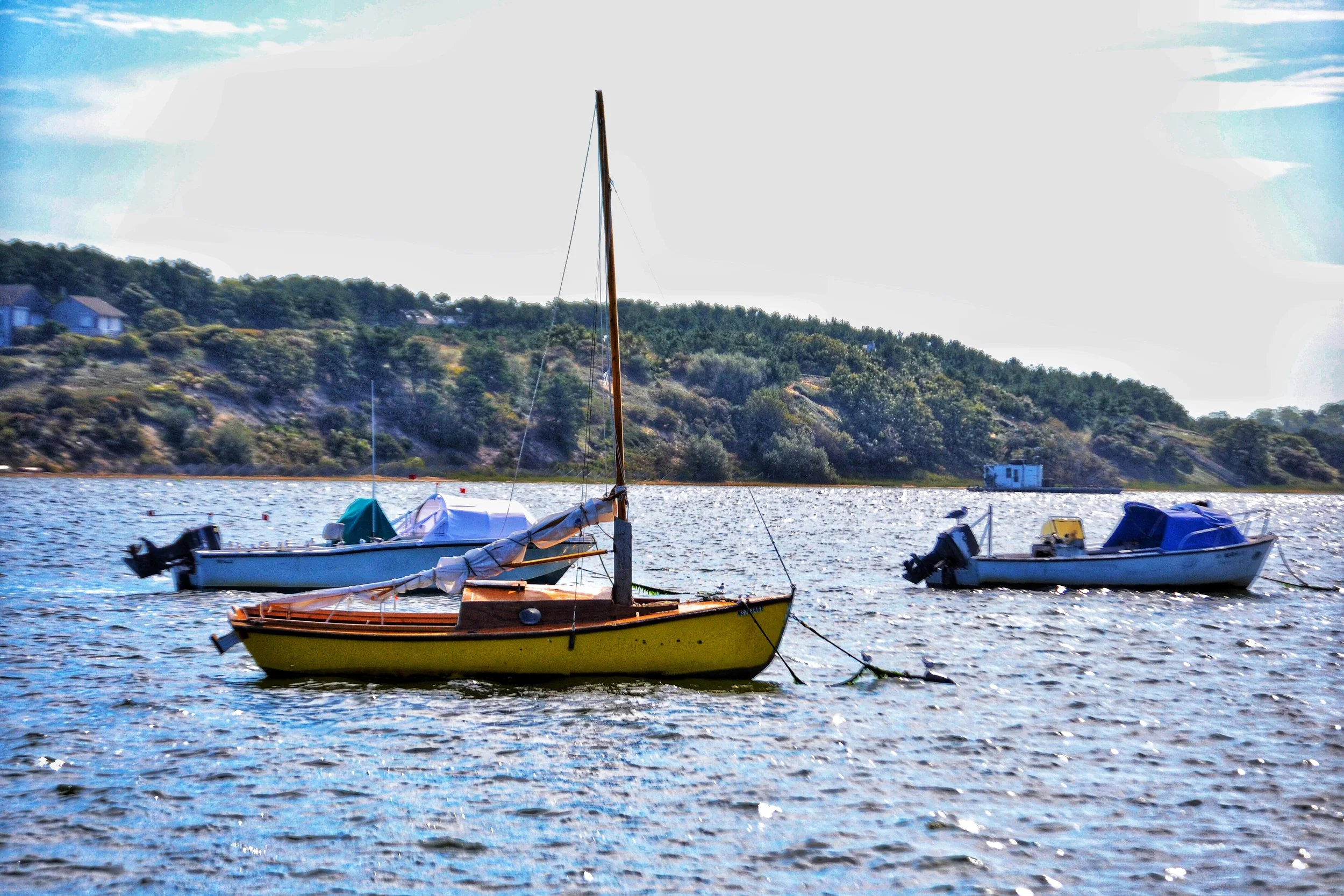 DSC_E0047_3.JPG