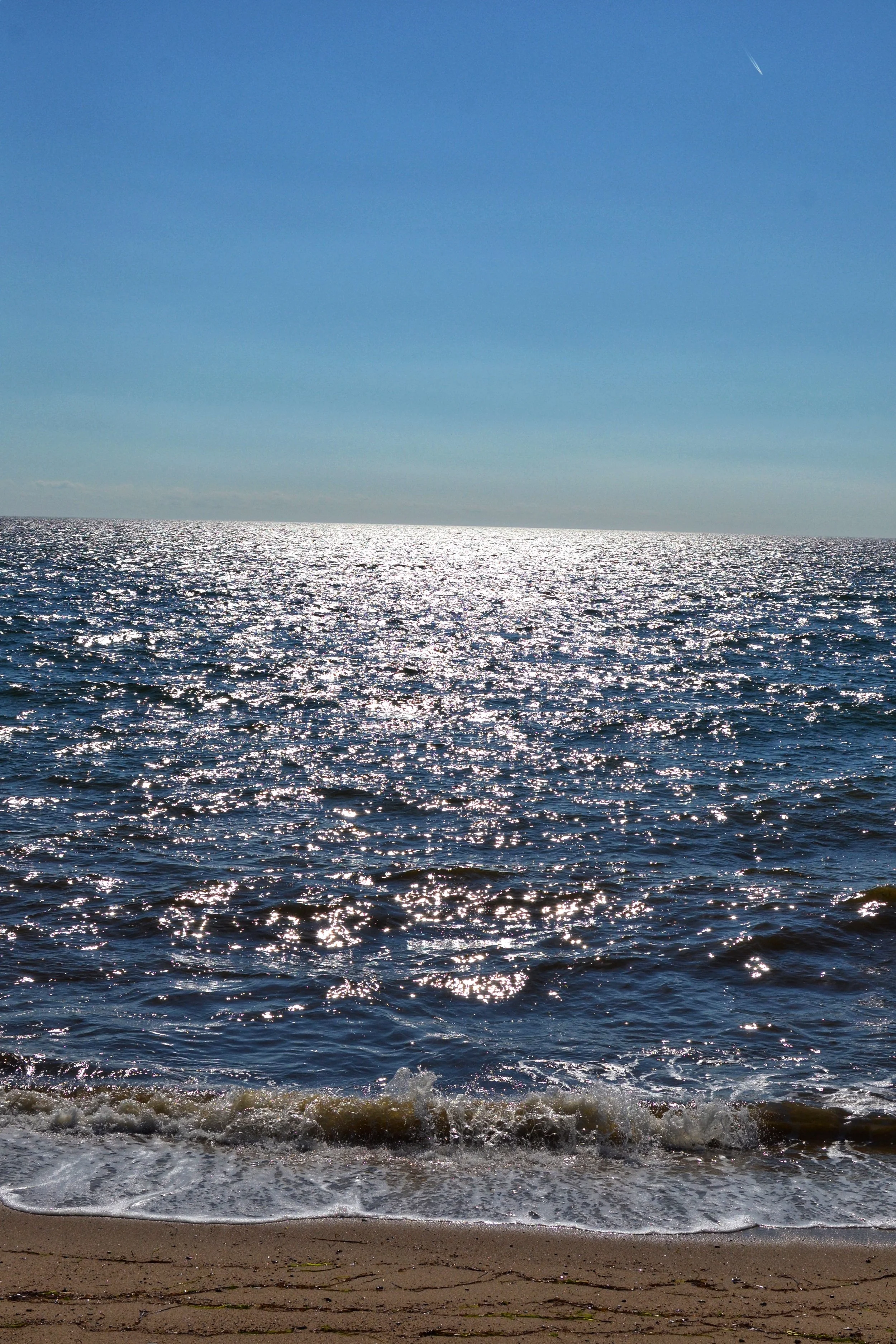 DSC_E0074_3.JPG