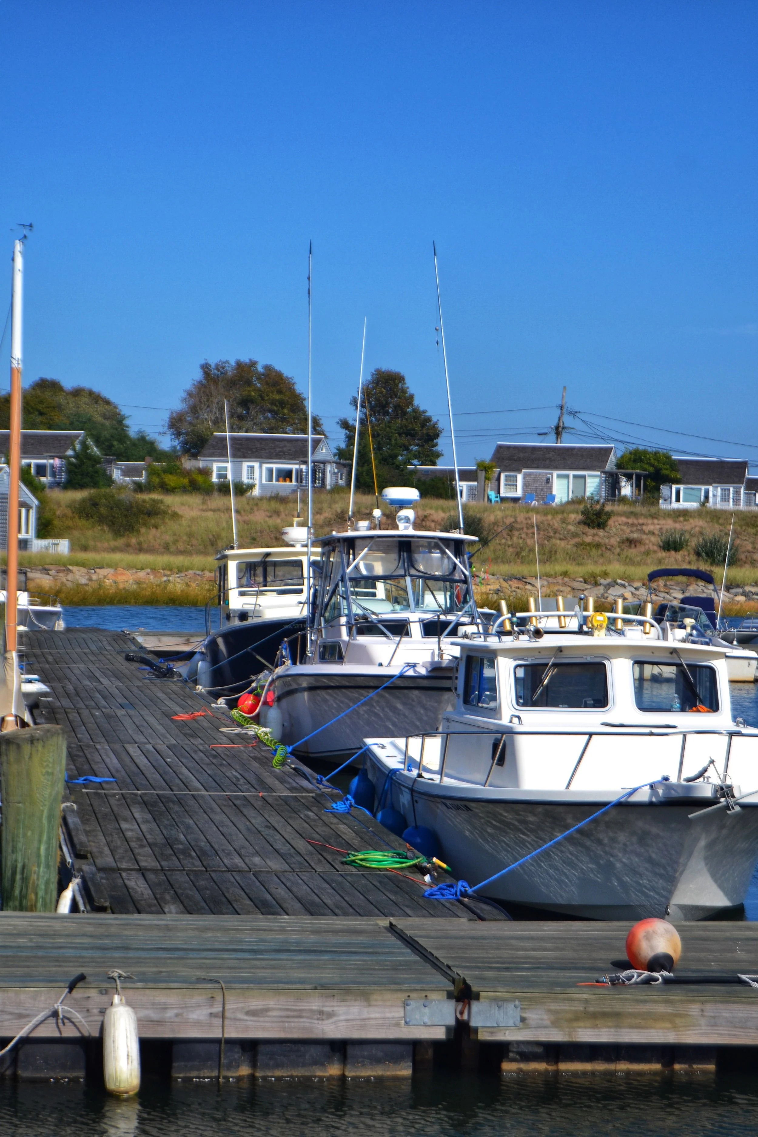 DSC_E0085.JPG