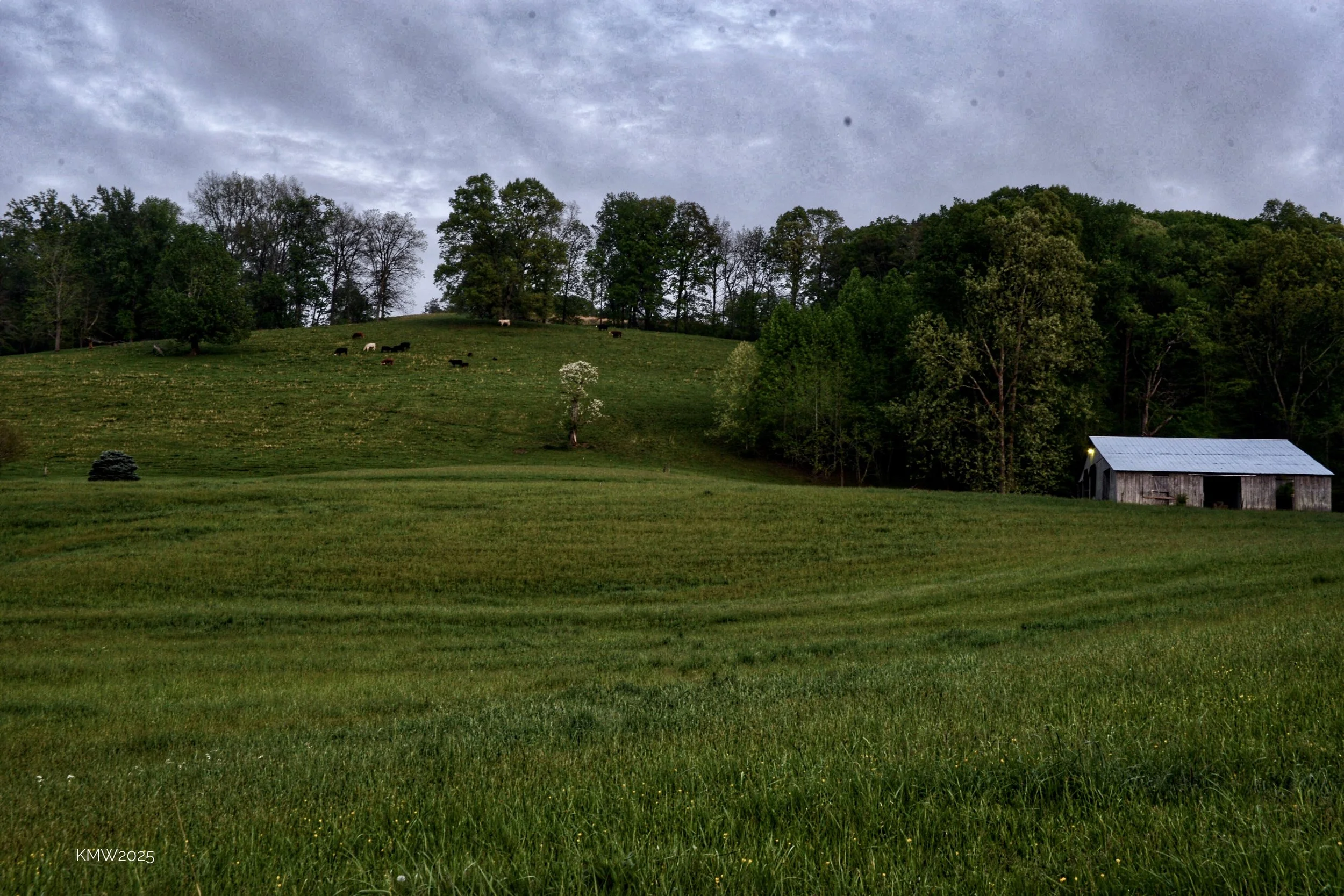 farmland in east TN 3.JPG