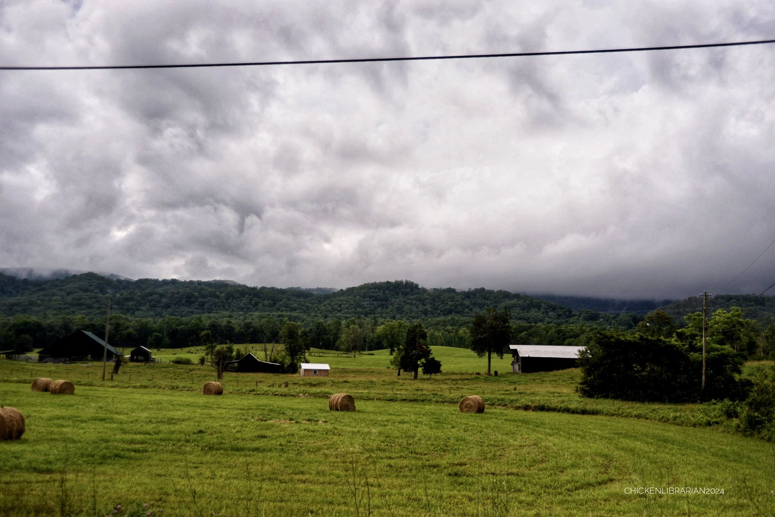farmalnd in east TN 4.jpeg