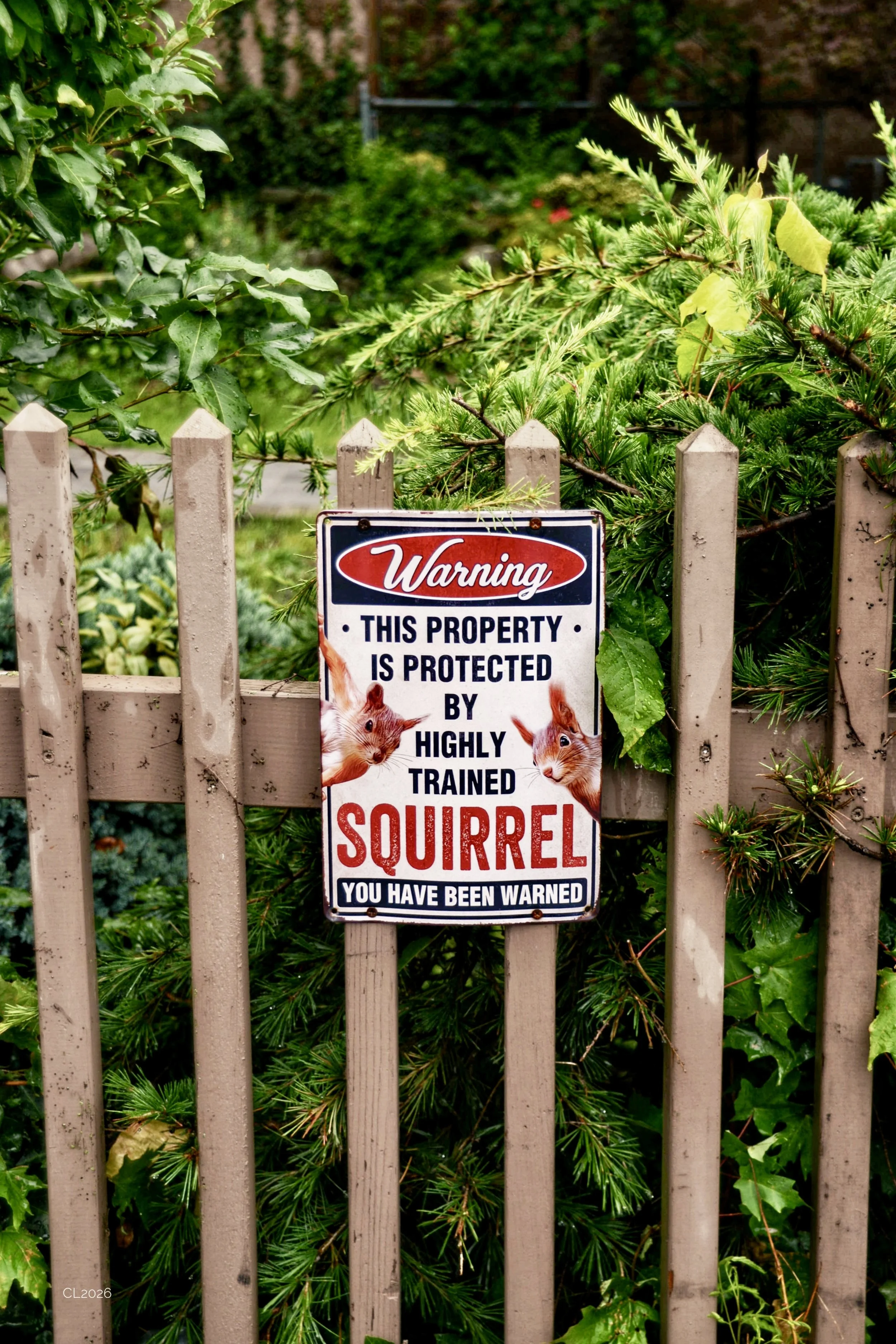 DSC_6255.JPEG